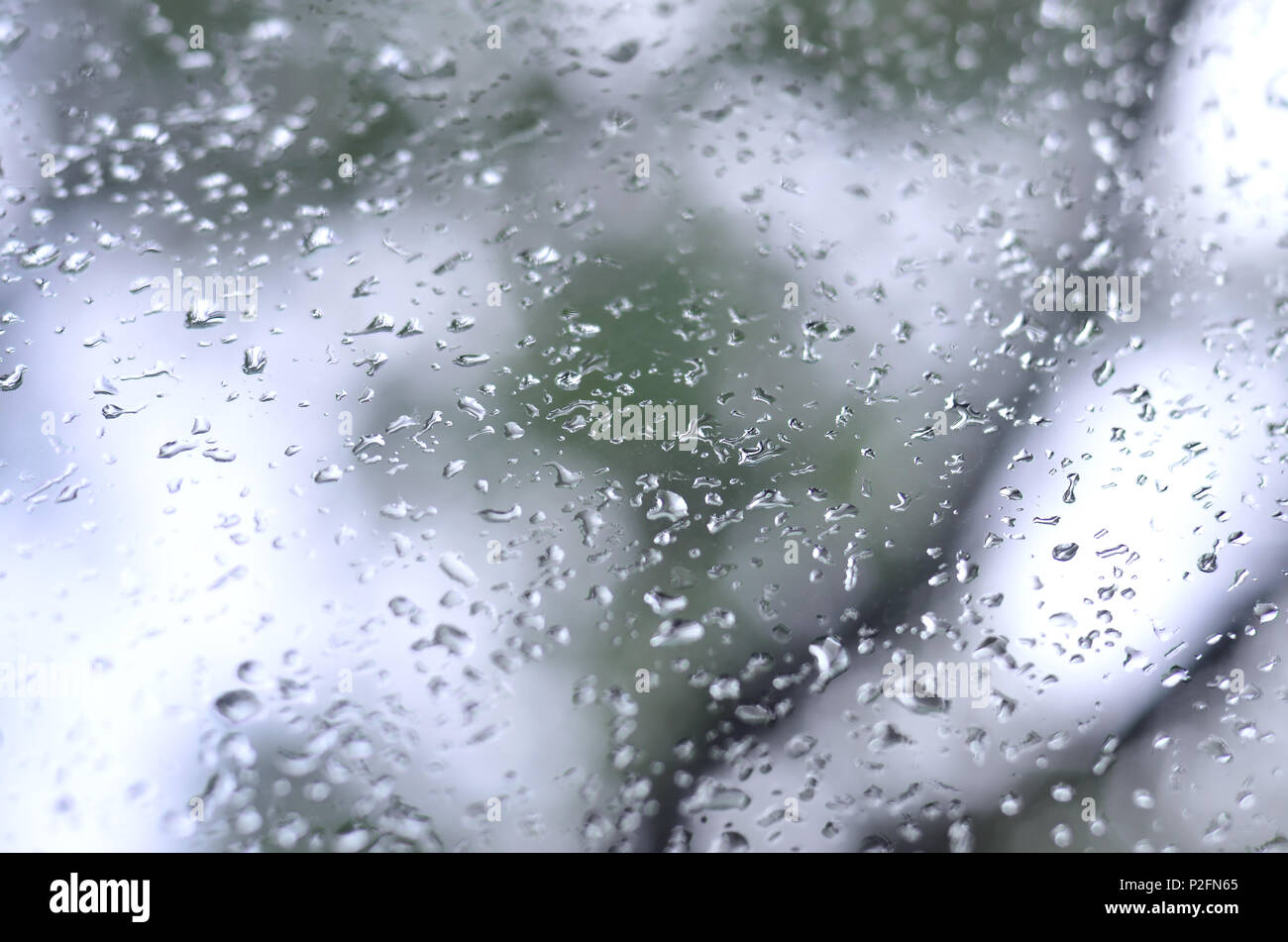 A photo of rain drops on the window glass with a blurred view of the blossoming green trees. Abstract image showing cloudy and rainy weather condition Stock Photo