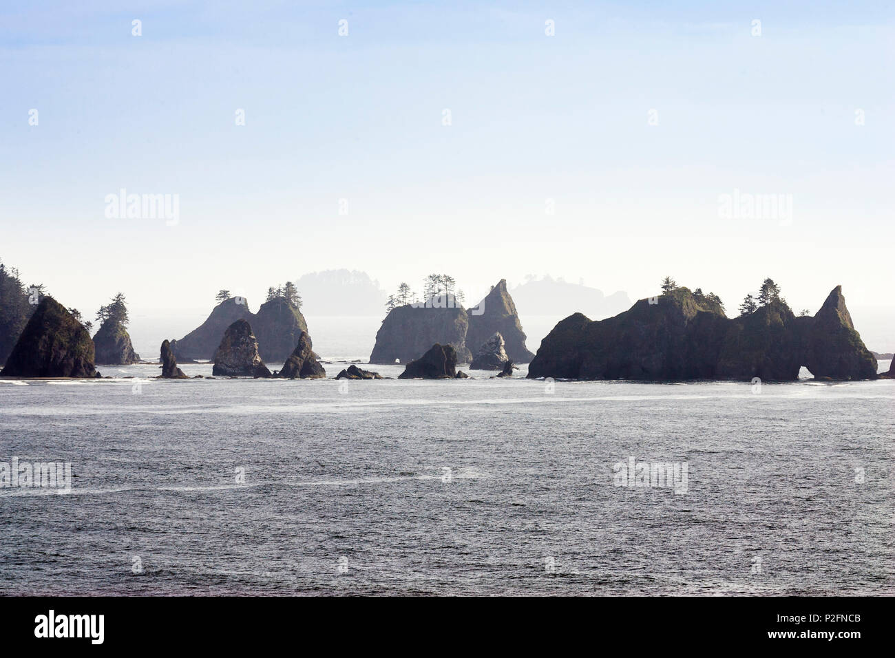 Sea Stacks on Shi Shi Beach, West Coast, Olympic Peninsula, Washington, USA Stock Photo