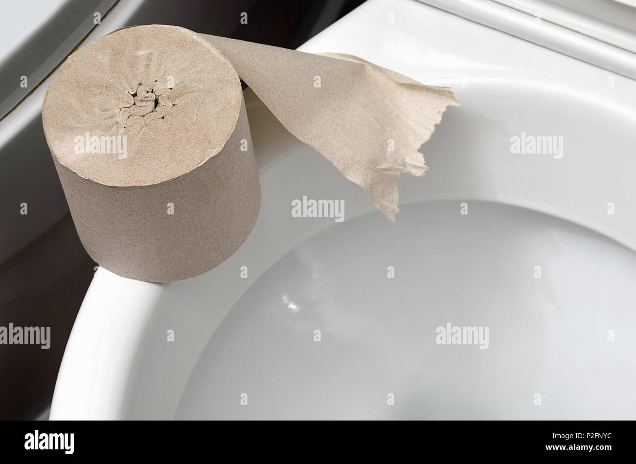 A roll of gray toilet paper lies on a white ceramic toilet in the