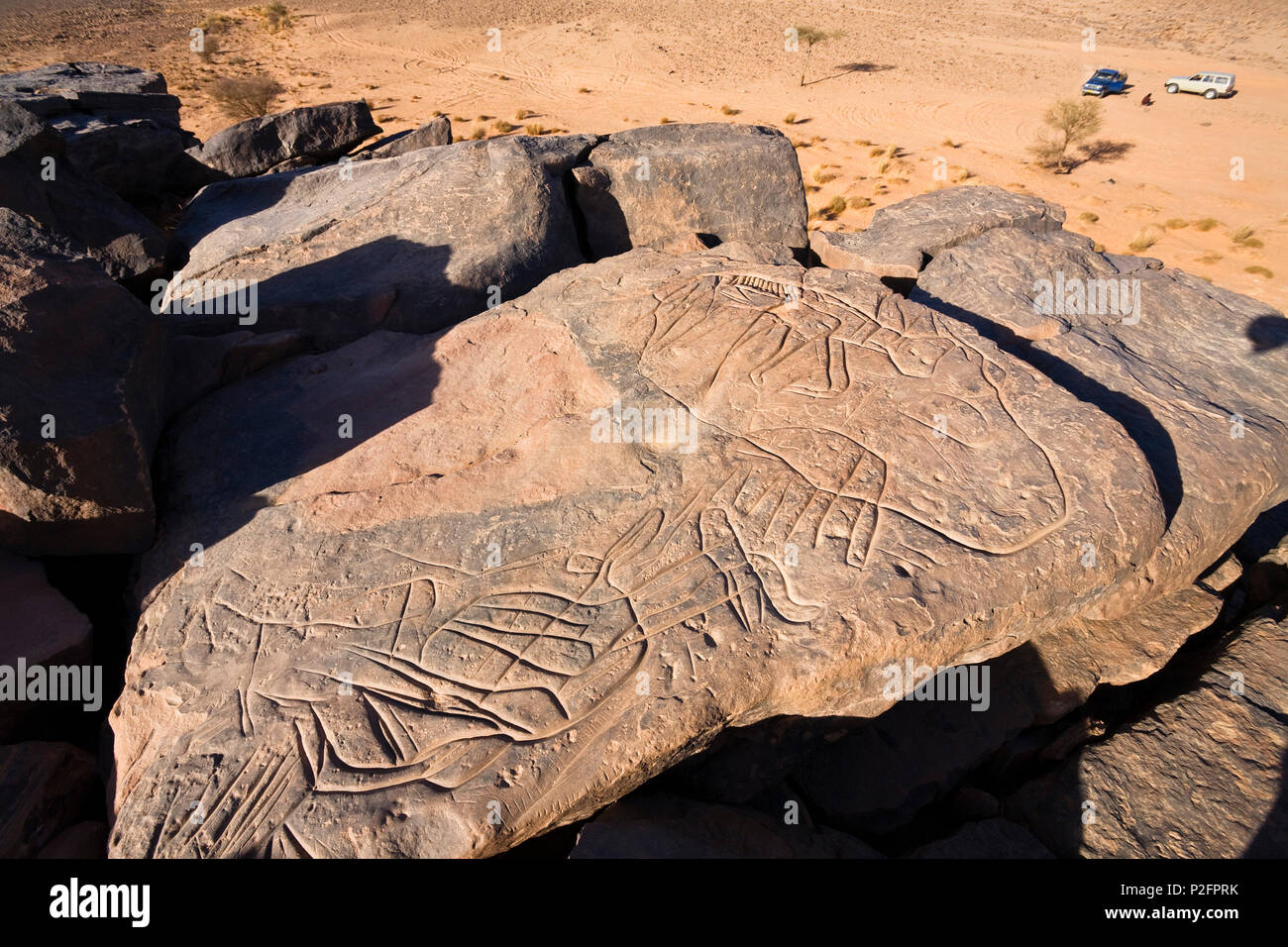 Stone engravings in Stony Desert, Libya, Sahara, North Africa Stock Photo