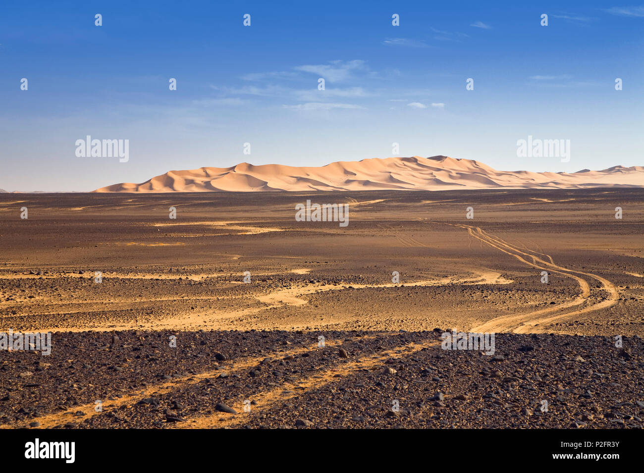 Dunes in the Stony Desert, car track, Black Desert, Libya, Africa Stock Photo