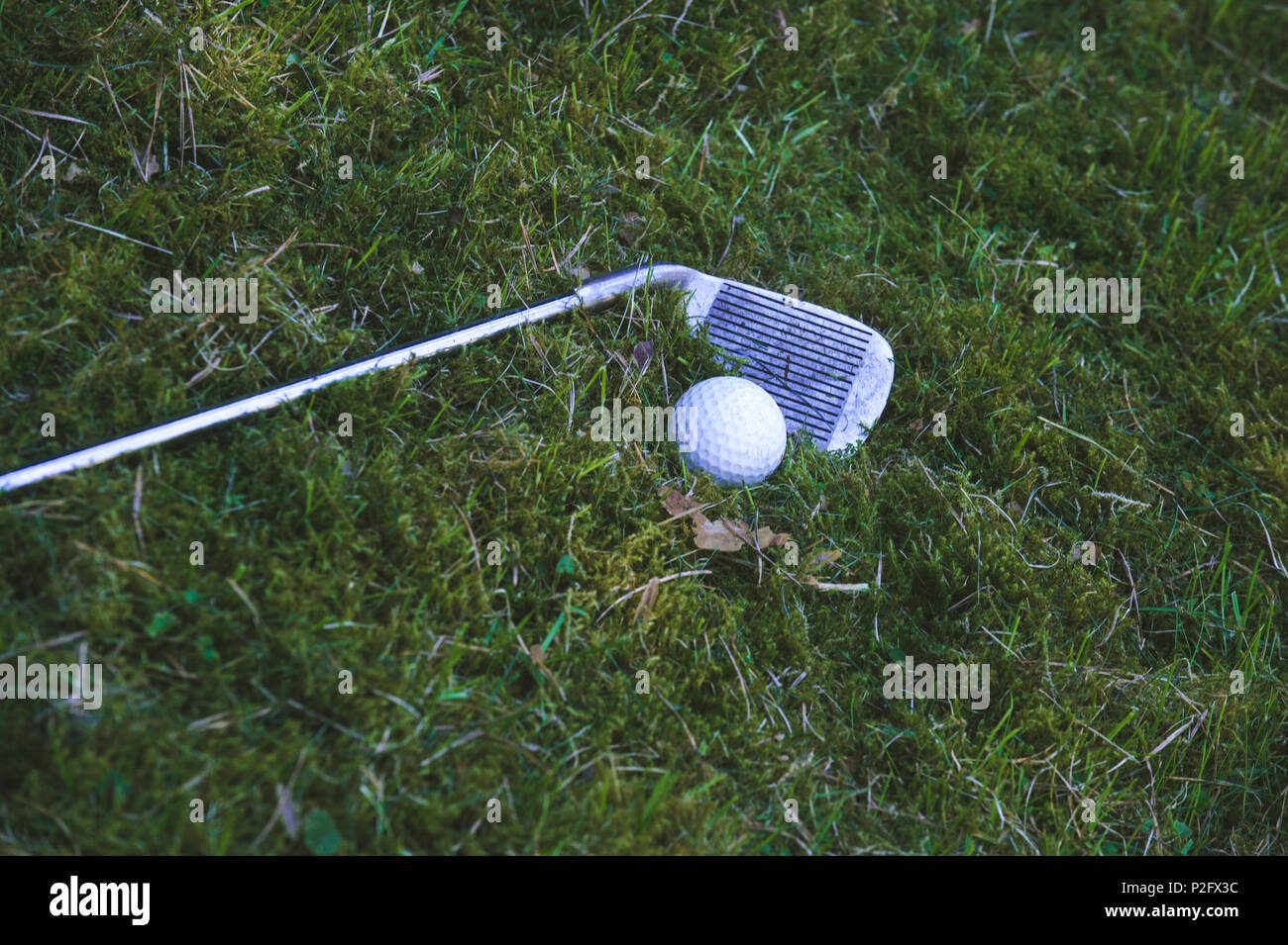 Mini golf equipment on the grass Stock Photo Alamy