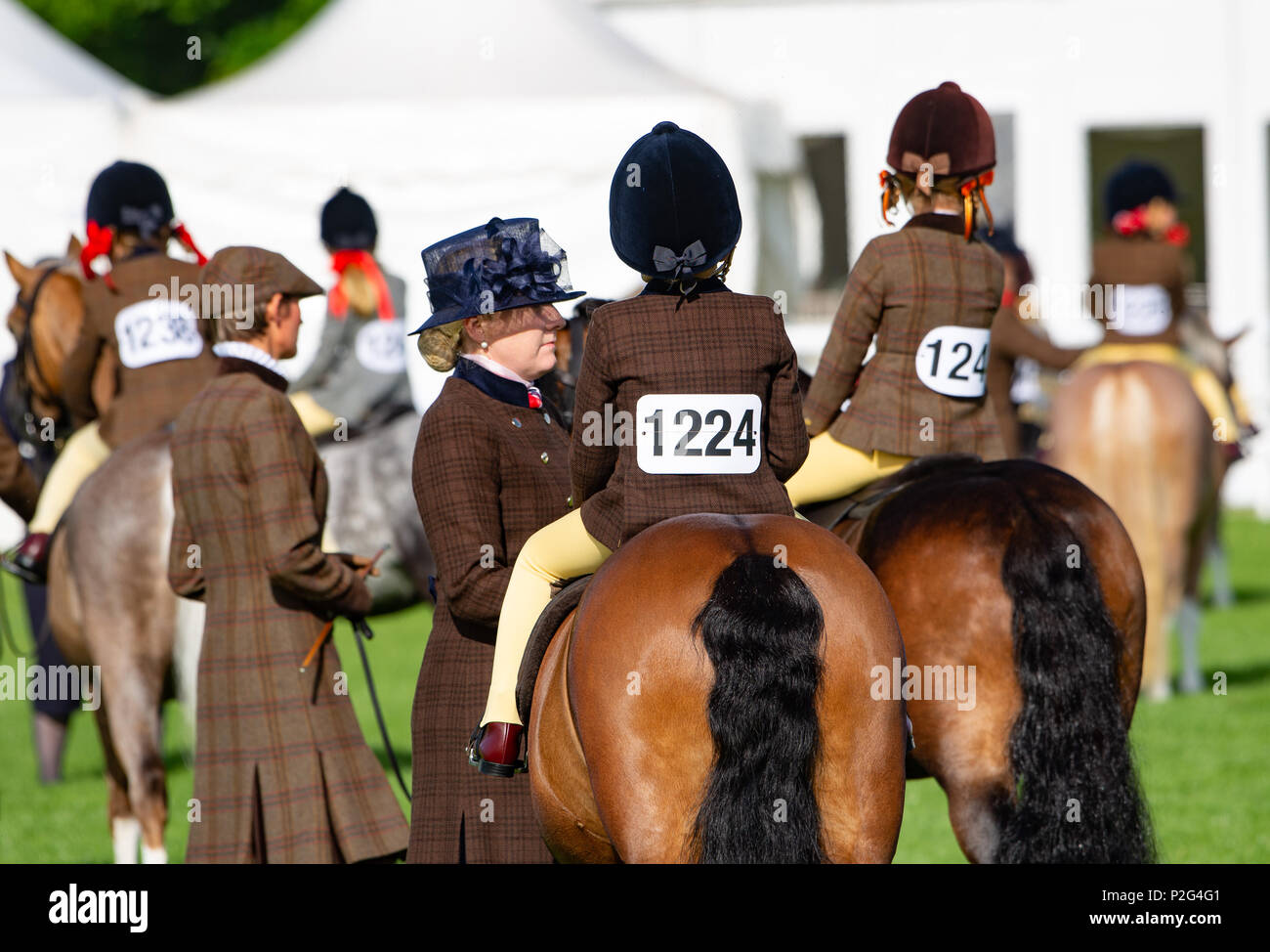 Malvern, Worcestershire, UK. 15th June 2018. Judging starts in the equestrian classes on the first day of the Royal Three Counties Show, Malvern, Worcestershire. Credit: John Eveson/Alamy Live News Stock Photo