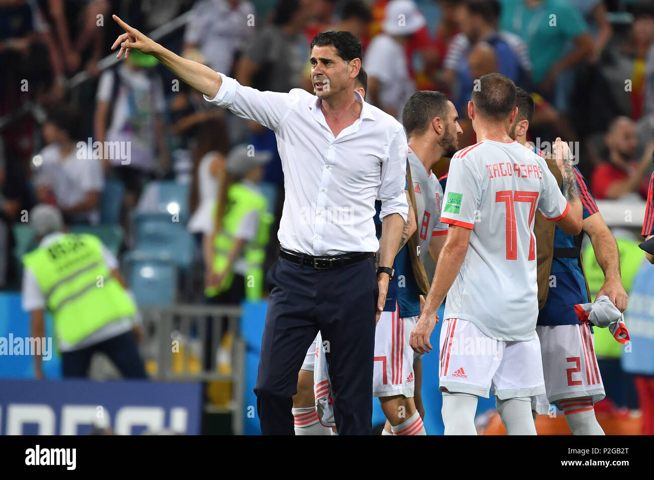 Sochi, Russia - June 15, 2018: Sochi, The Stadium Fisht. The Fans Filled  The Stadium. Match Portugal Vs Spain Stock Photo, Picture and Royalty Free  Image. Image 106260509.