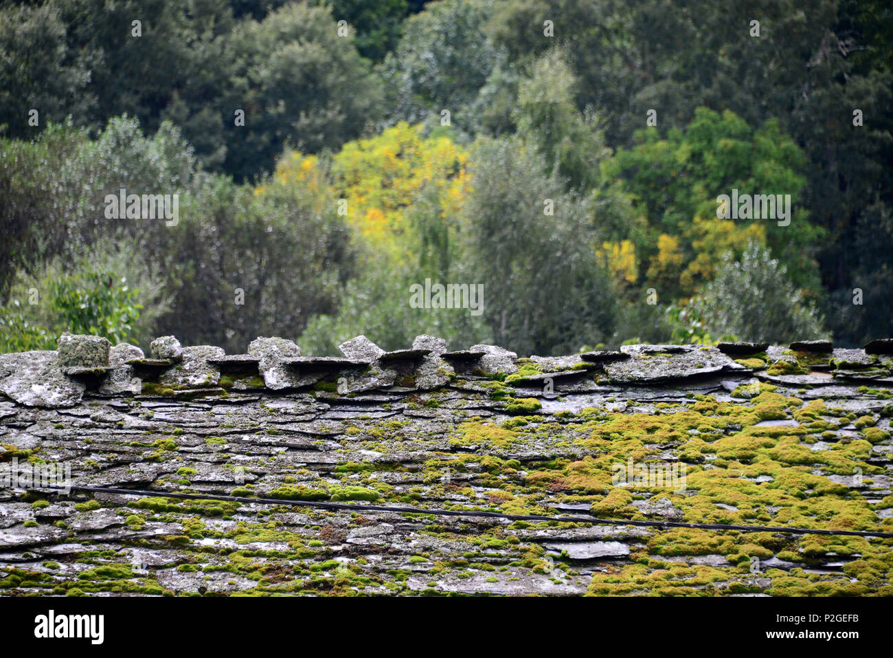 Slate roof in Parque Natural Montesinho bei Braganca, Tras-os-Montes, Northeast-Portugal, Portugal Stock Photo
