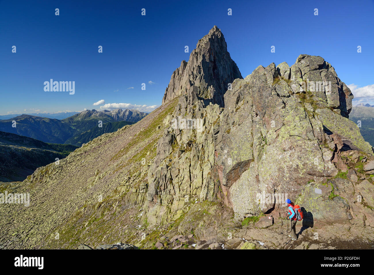 Woman descending from Forcella Valon with Latemar range in background, Trans-Lagorai, Lagorai range, Dolomites, UNESCO World Her Stock Photo