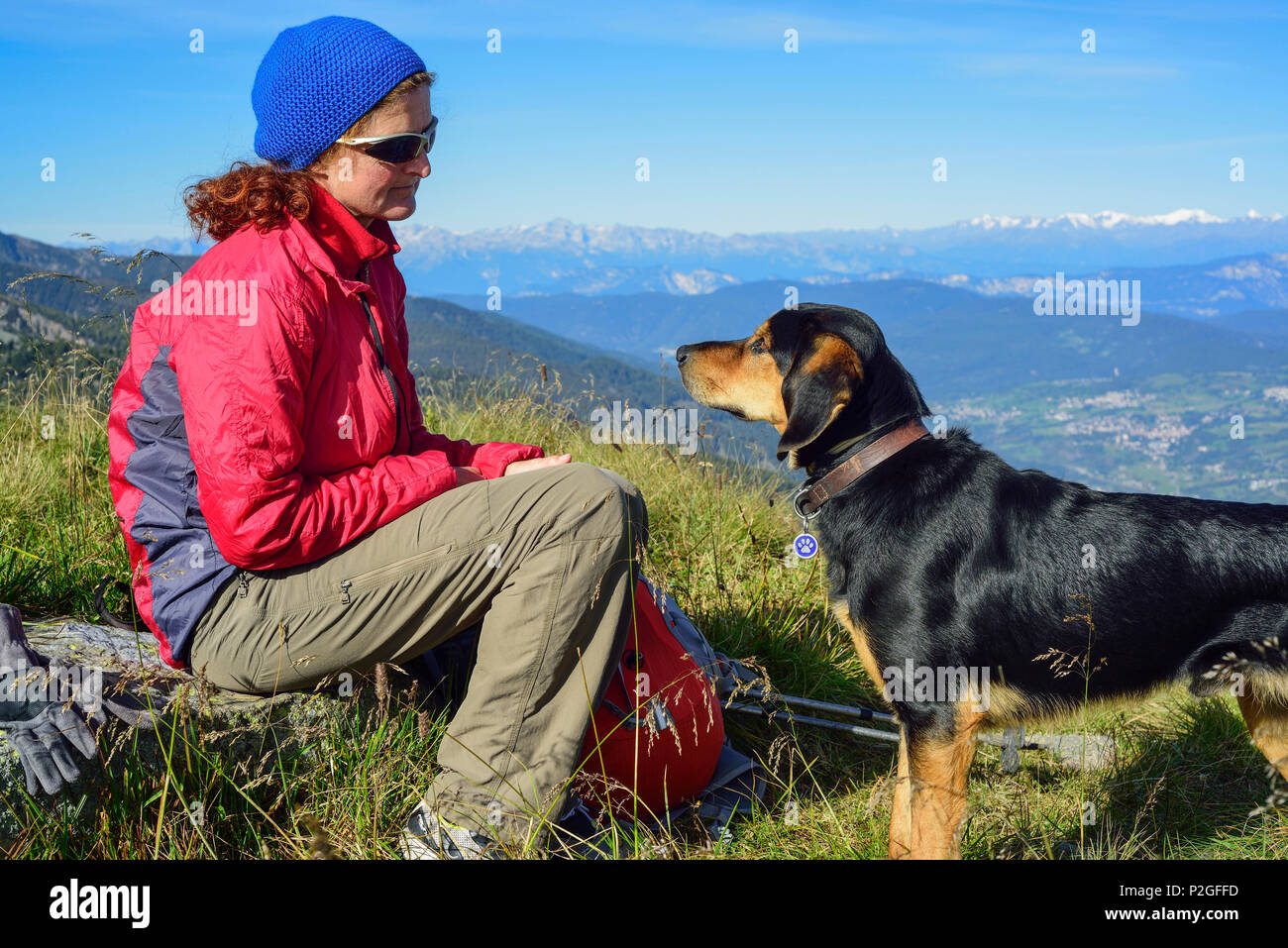 Woman hiking and shepherd dog looking at each other, mountains in background, Trans-Lagorai, Lagorai range, Dolomites, UNESCO Wo Stock Photo