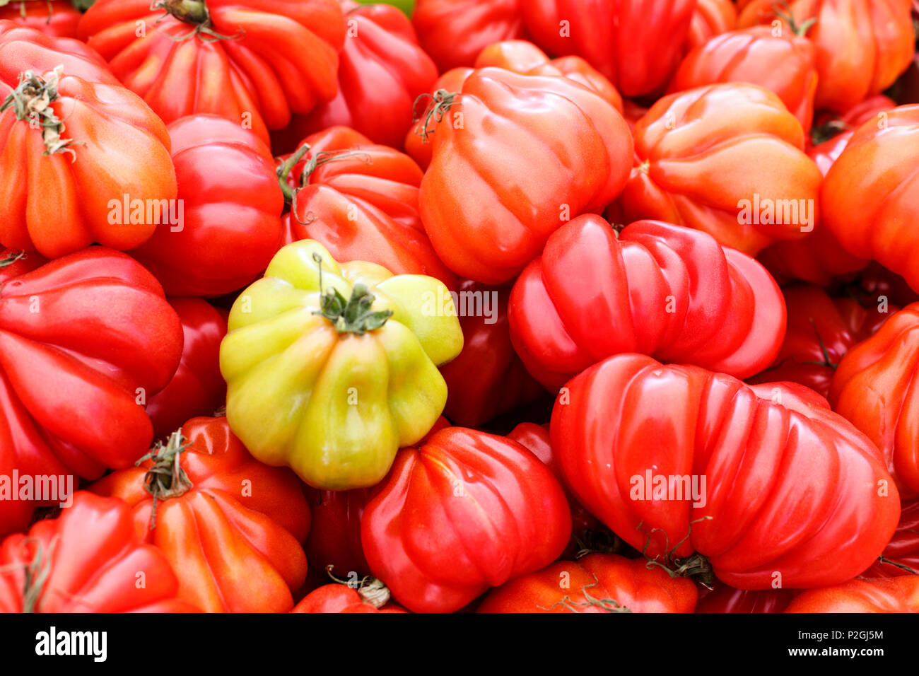 Seeds ox hires stock photography and images Alamy