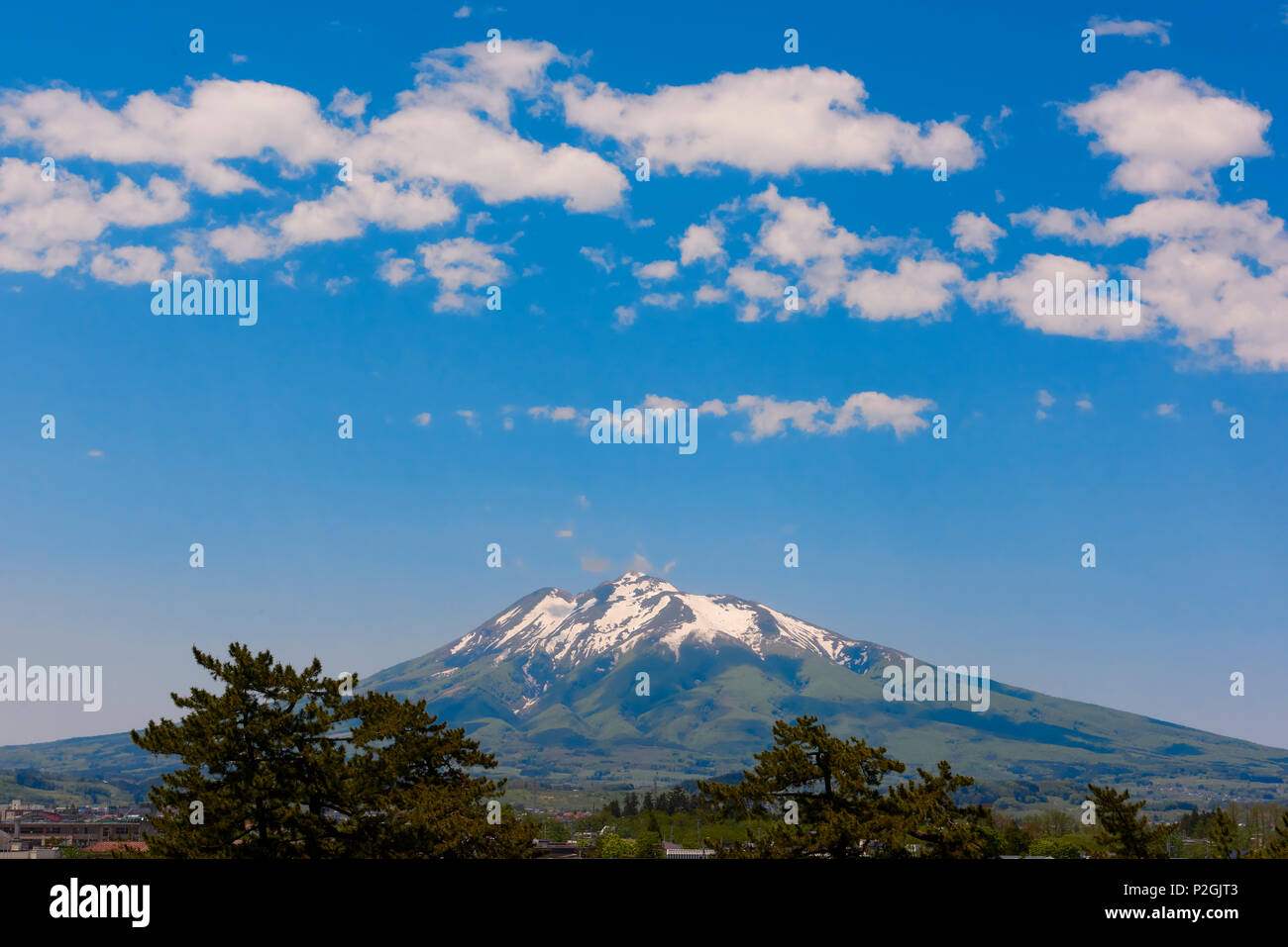 Mount Iwaki on a blue sky day with Hirosaki Park trees in the