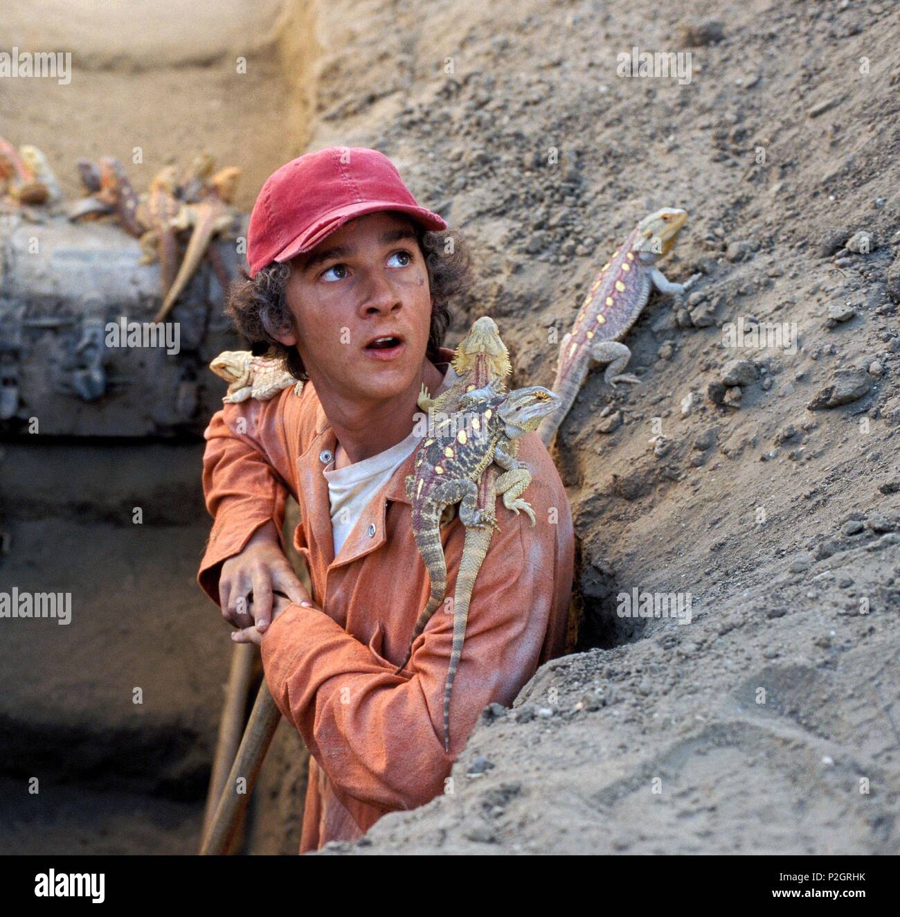 Original Film Title HOLES. English Title HOLES. Film Director ANDREW