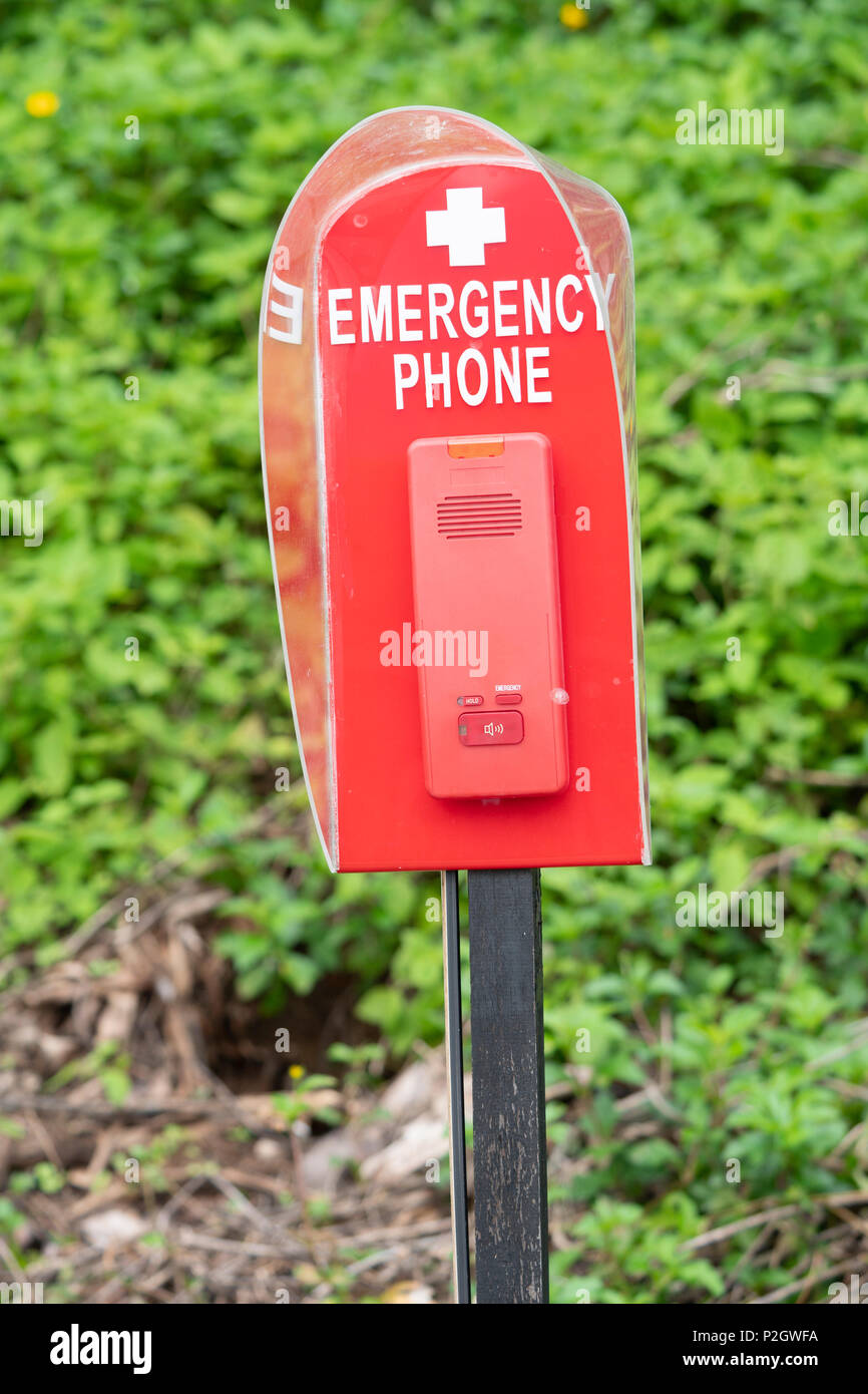 Red emergency phone or safety call box near swimming pool nature