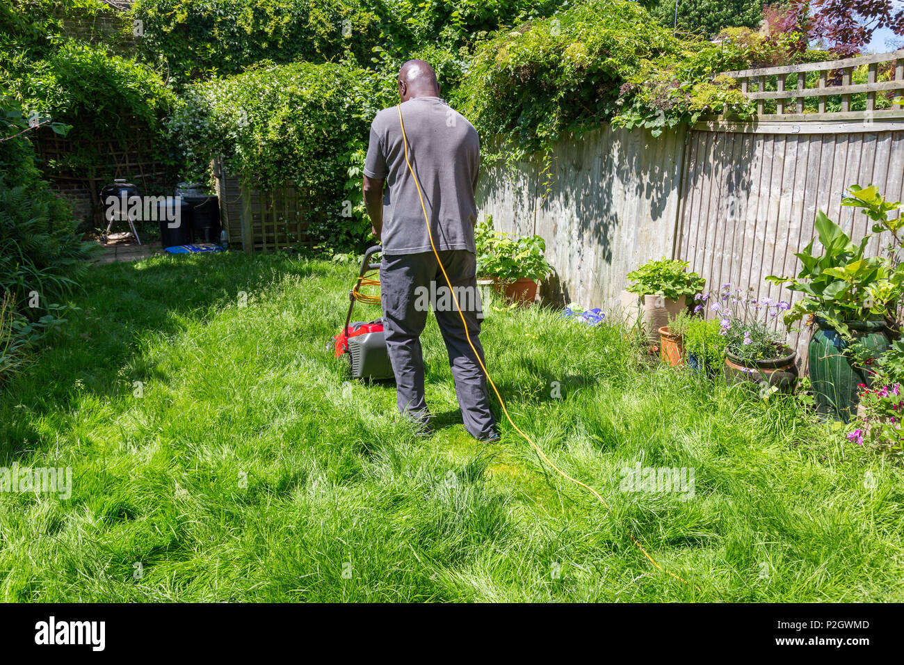 A black man mowing long grass in the backyard garden lawn at home Stock Photo