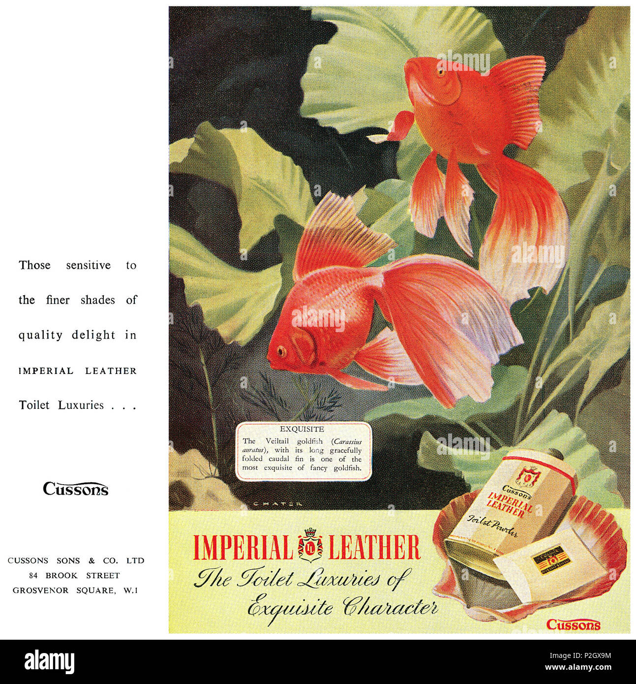 imperial leather night blooming jasmine and vanilla