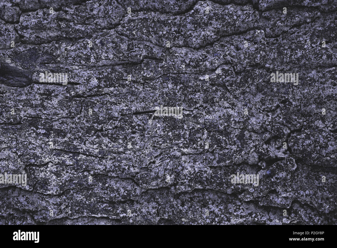 cracked rough purple tree bark background Stock Photo Alamy