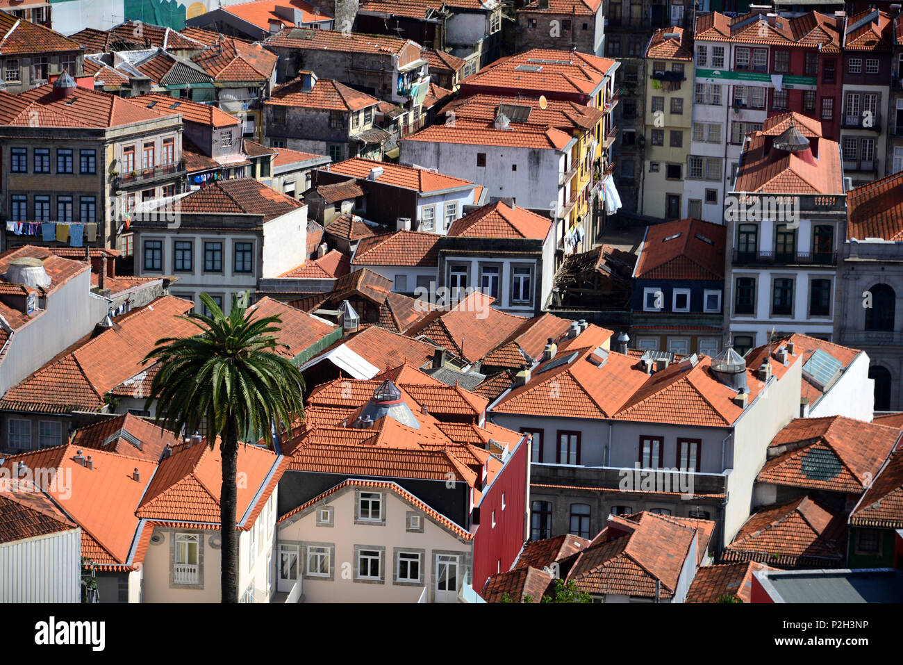 View from tower of the Clerigos church, Porto, Portugal Stock Photo