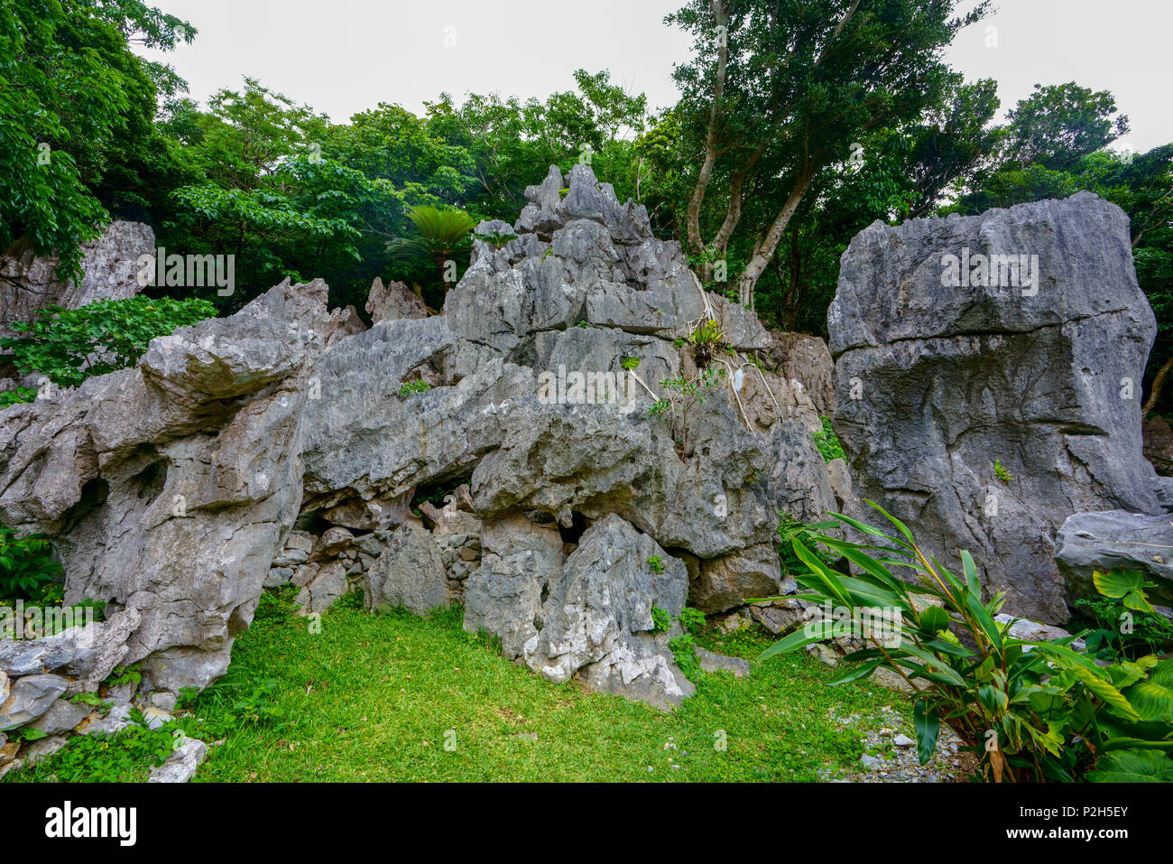 Daisekirinzan Okinawa Prefecture Japan Stock Photo Alamy