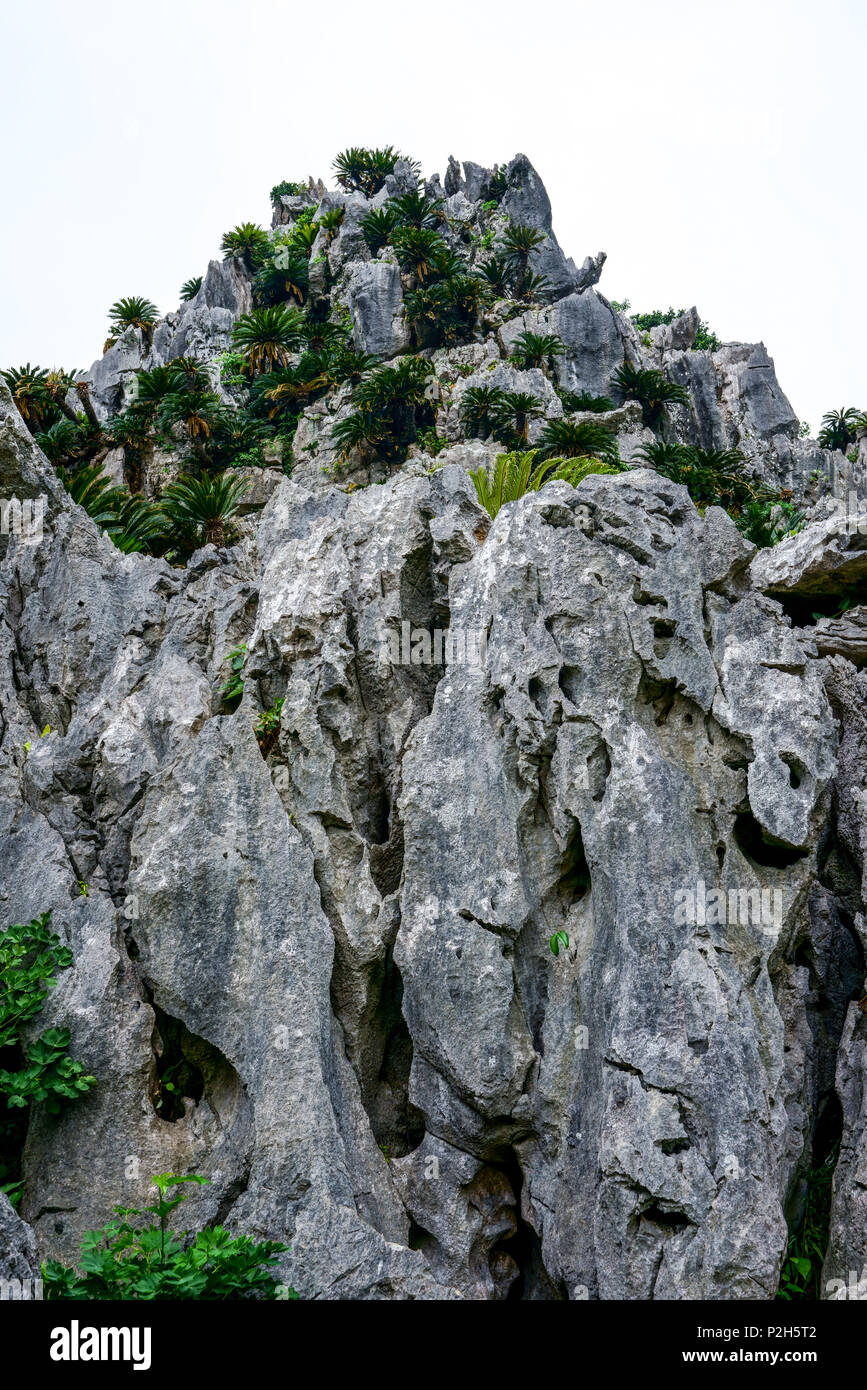 Daisekirinzan Okinawa Prefecture Japan Stock Photo Alamy