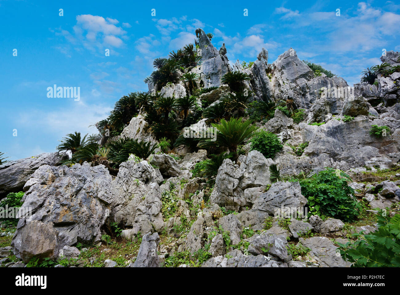 Daisekirinzan Okinawa Prefecture Japan Stock Photo Alamy