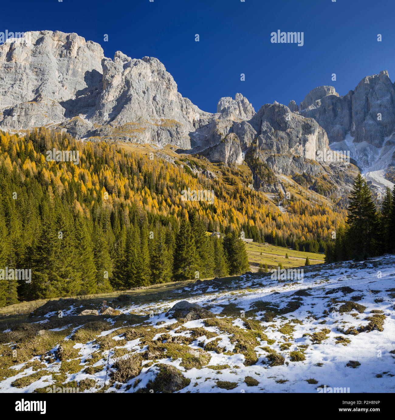 Cima del focobon hires stock photography and images Alamy
