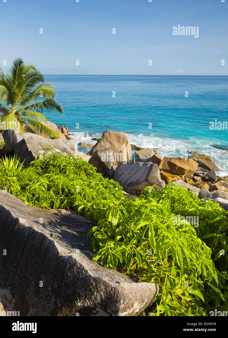 Rocky coastline, Anse Patates, La Digue Island, Seychelles Stock Photo