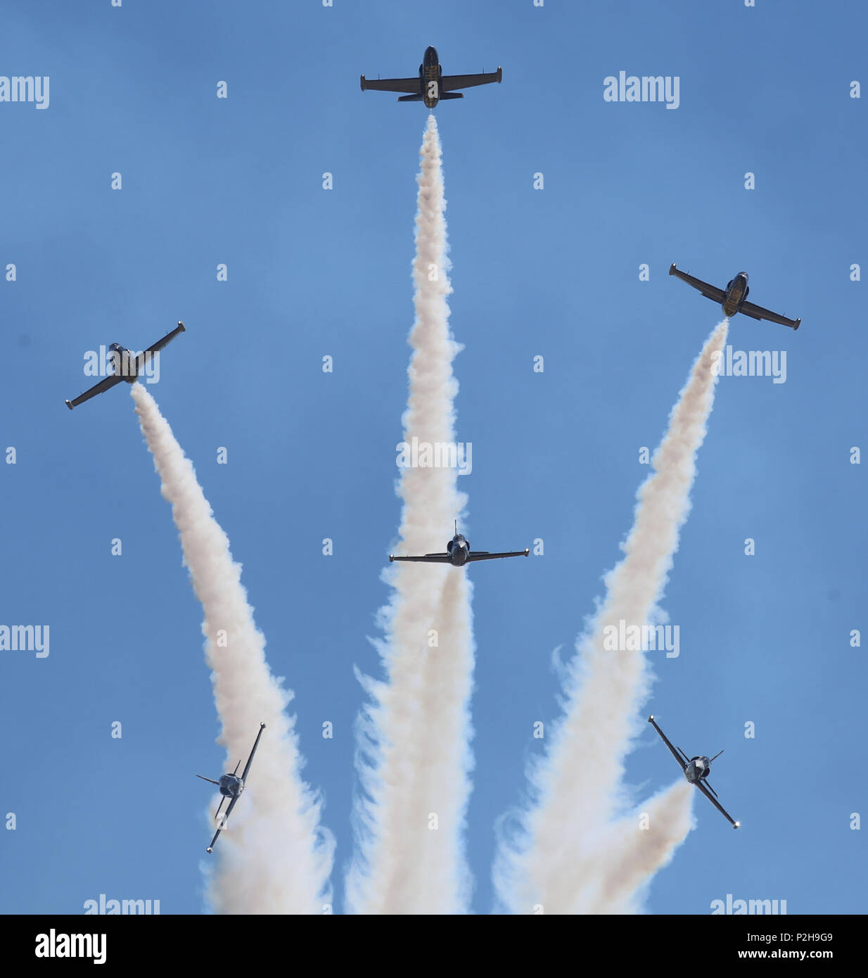Seven l 39c albatros aircraft hi-res stock photography and images - Alamy