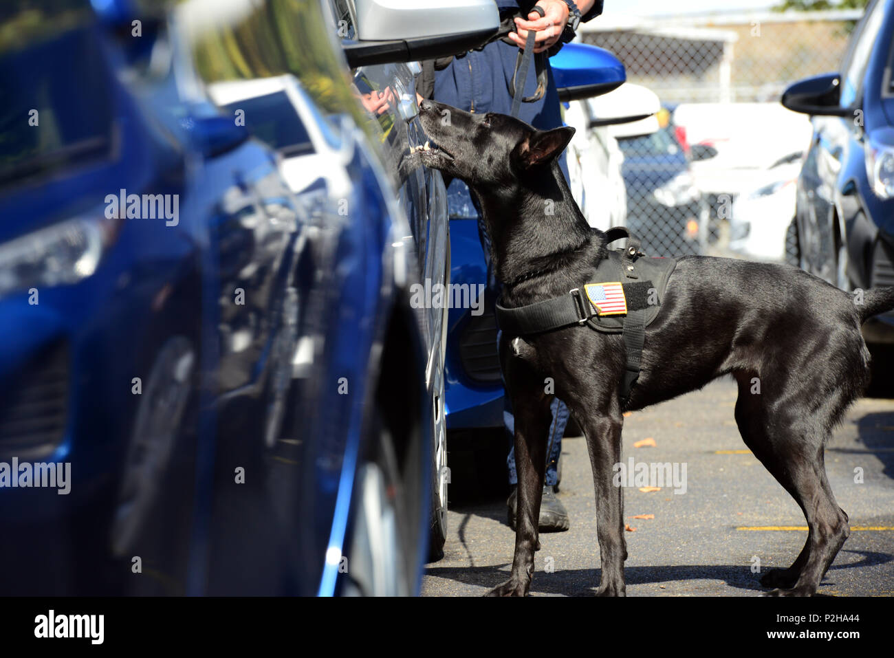 Msst 91101 hi-res stock photography and images - Alamy