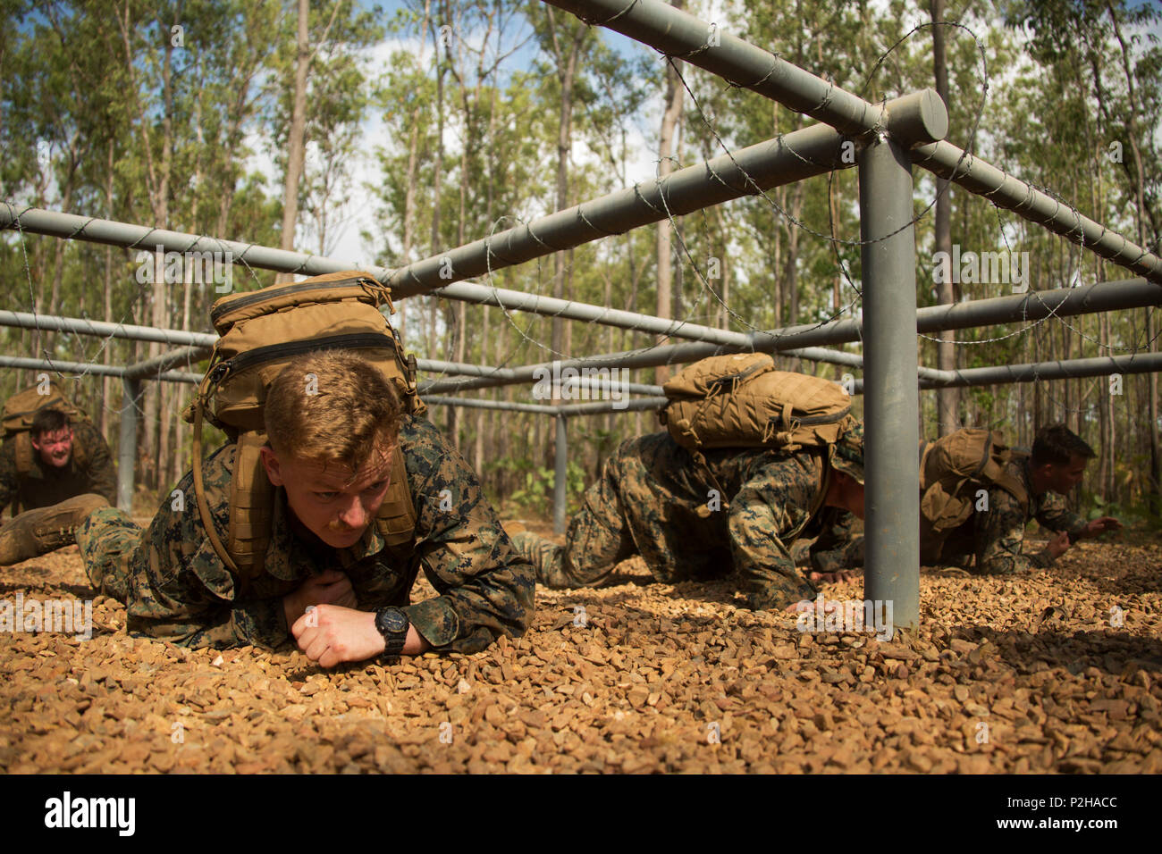 Company C Marines of 1st Battalion, 1st Marine Regiment, perform low ...