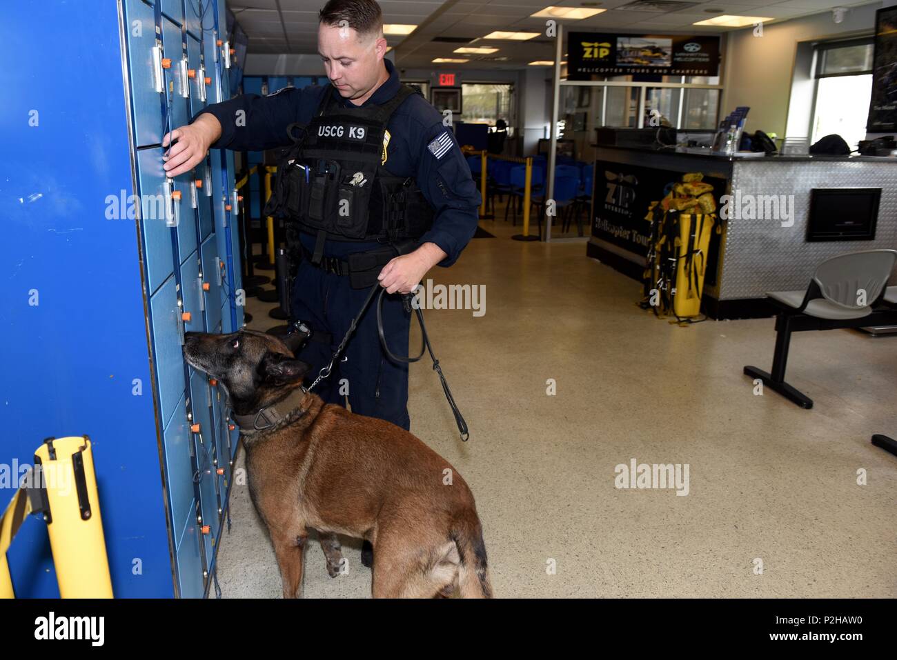 Petty Officer 1st Class Nick Antis, a dog handler with Marine Safety and Security Team 91106 in New York, leads Ryder, a Belgian Malinois explosives detection canine, in a sweep of a building following the United Nations General Assembly at the Pier 6-Downtown Manhattan Heliport in New York City, September 21, 2016. The Coast Guard canine explosives detection program enhances the detection and deterrence capabilities in the maritime environment, adjacent lands and waterside installations. (U.S. Coast Guard photo by Petty Officer 2nd Class Sabrina Clarke.) Stock Photo