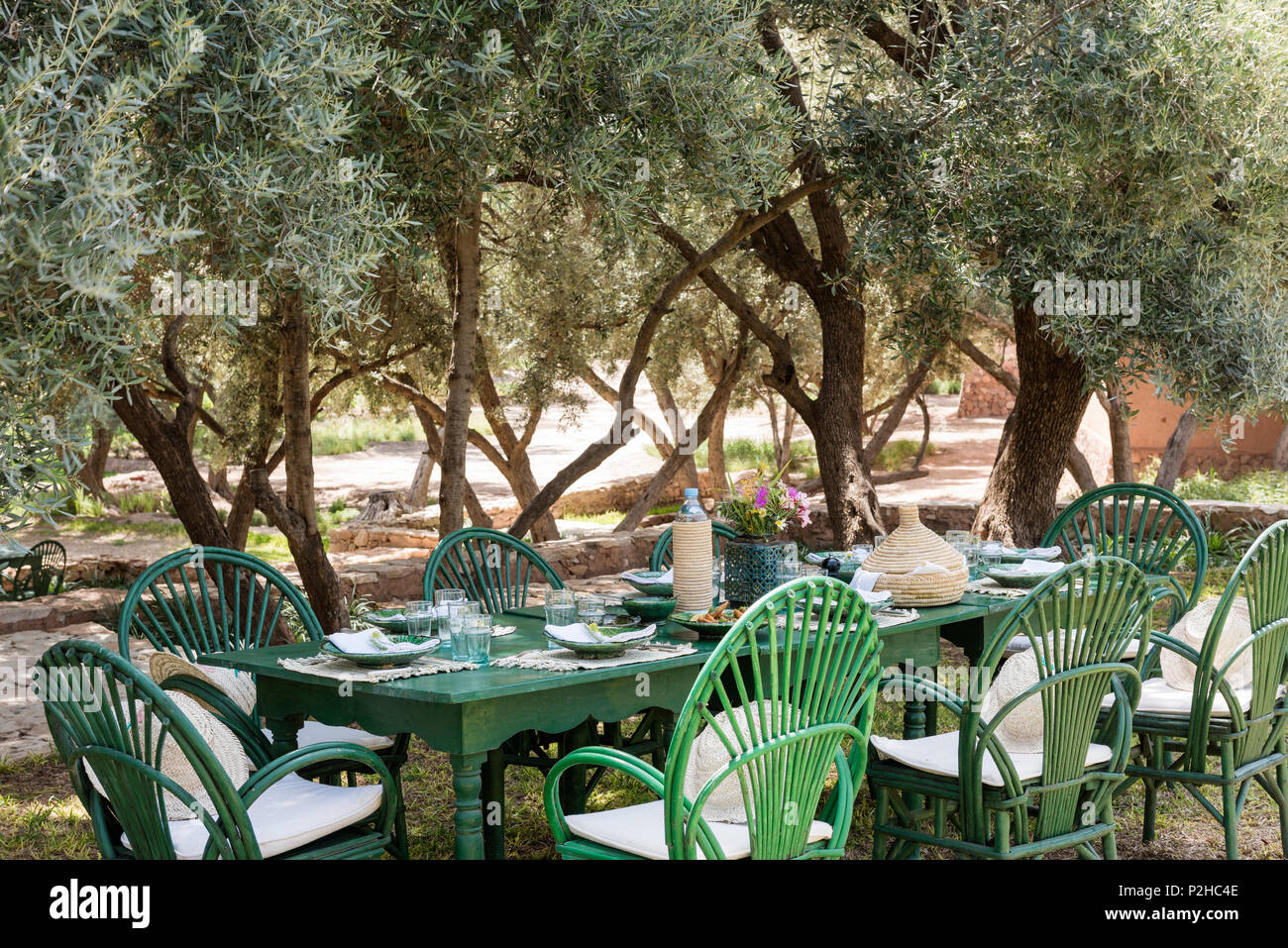 laid green table and chairs in garden with olive grove Stock Photo