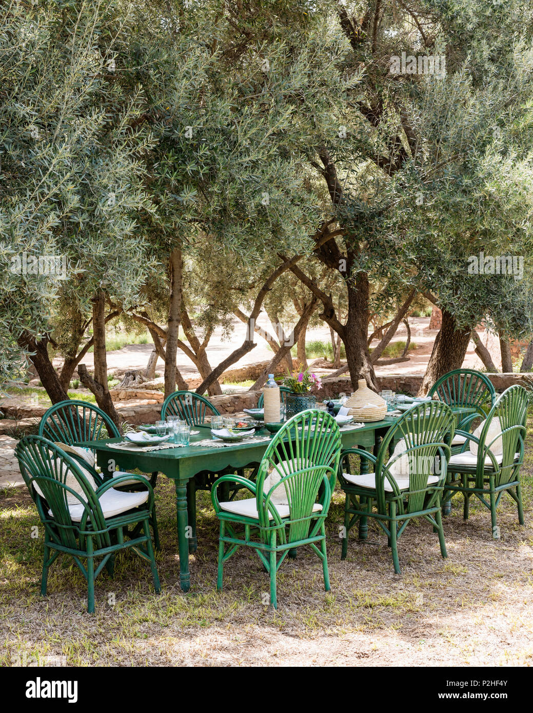 laid green table and chairs in garden with olive grove Stock Photo