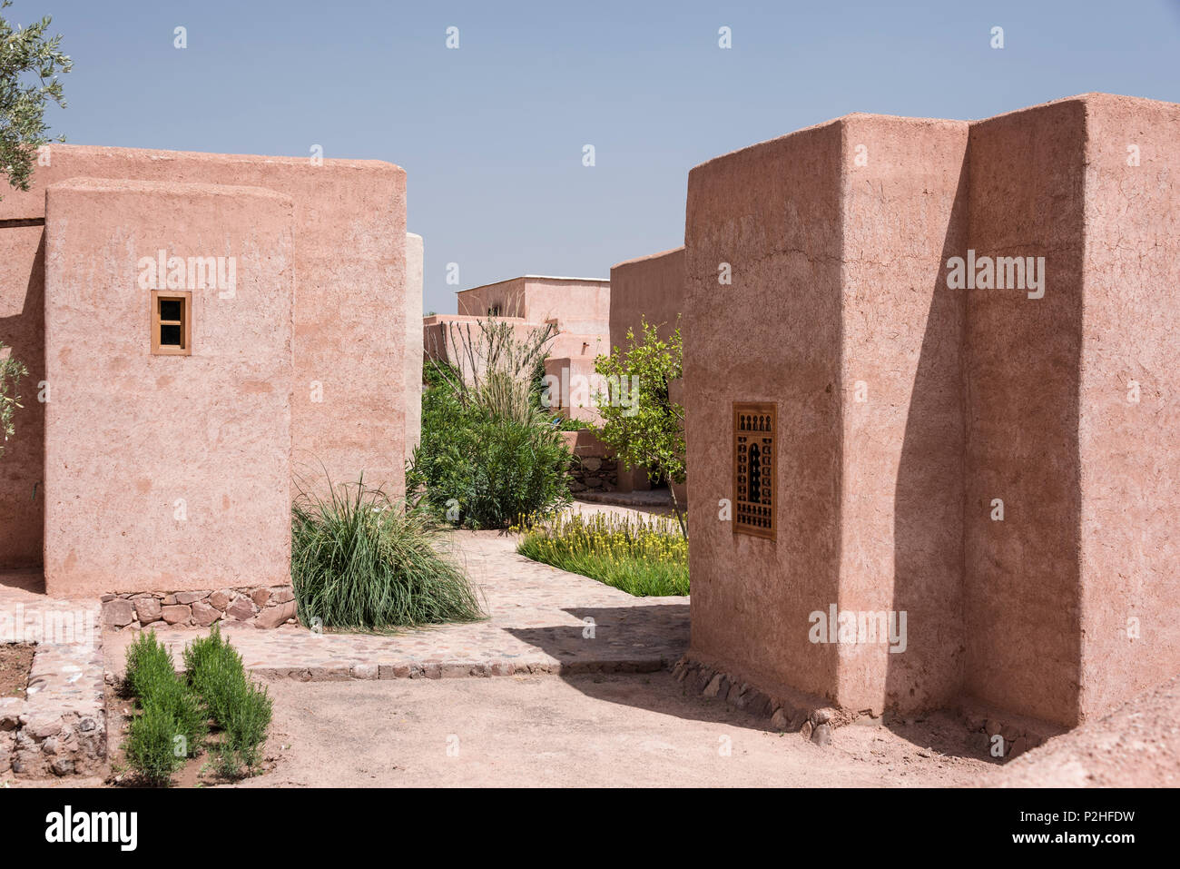 Exterior facade of adobe Berber style lodges with courtyard of lemon trees, bamboo and moroccan wild plants Stock Photo