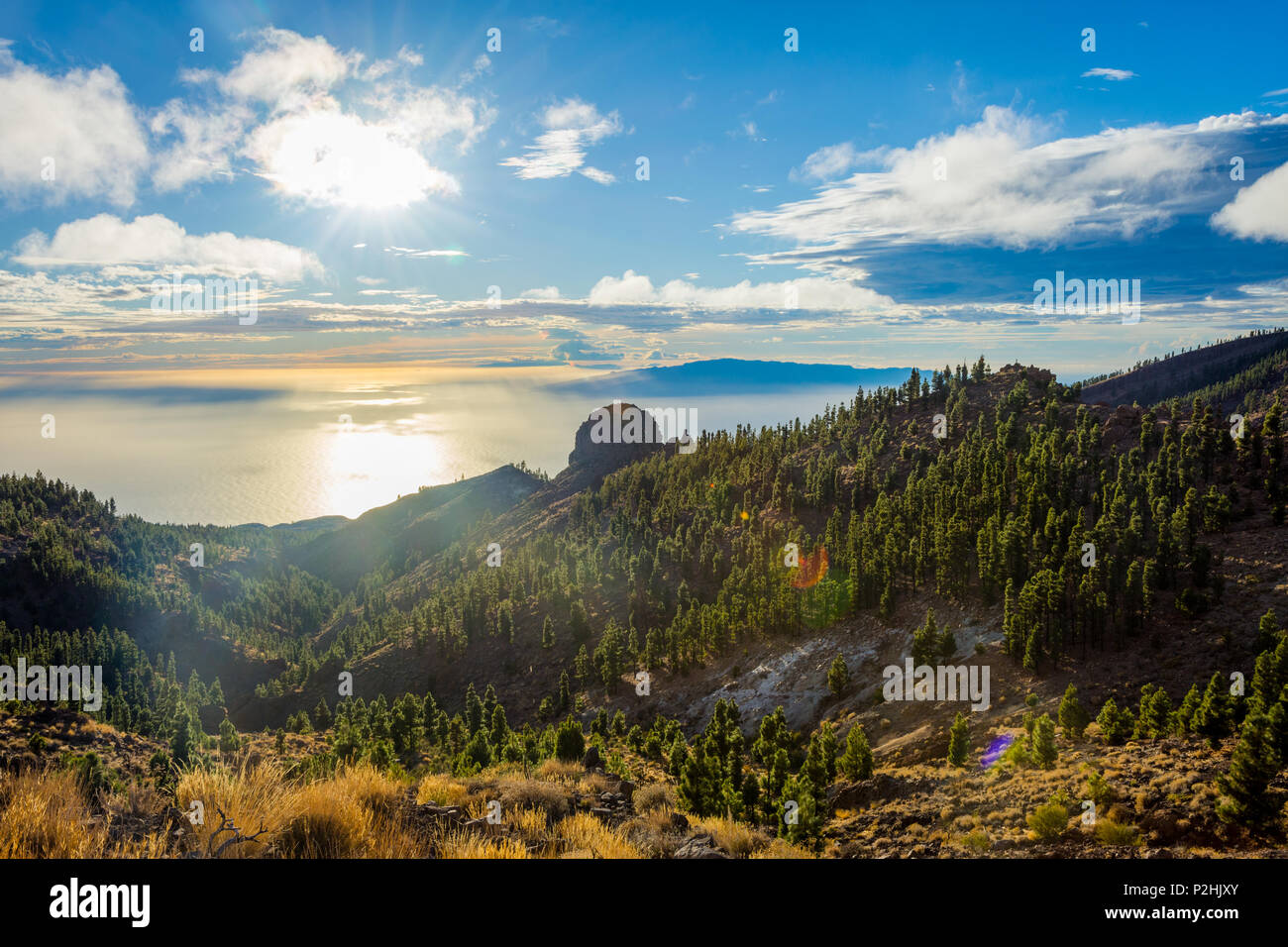 Scenic view over forest, mountains and sea in sunflare, Tenerife, Canary islands Stock Photo
