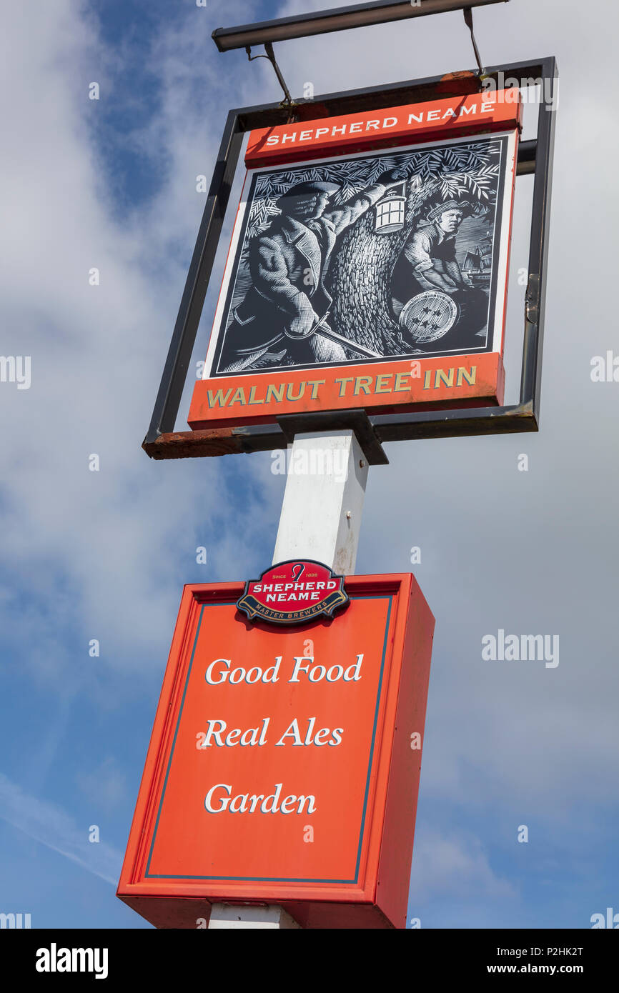 The Walnut Tree pub sign,  a Shepherd Neame pub in Aldington, Kent, UK Stock Photo