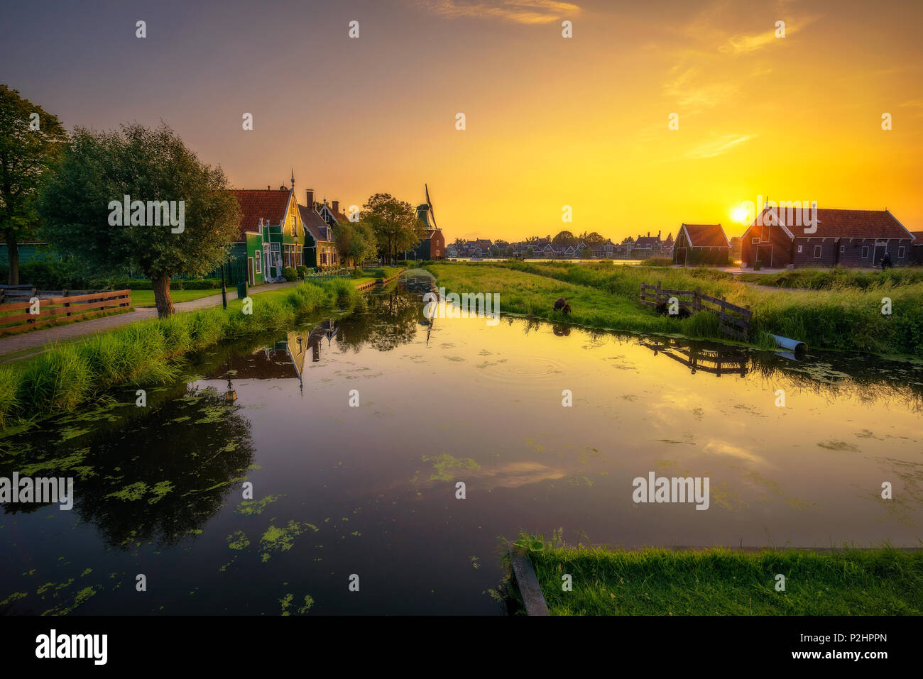 Netherlands farm hi-res stock photography and images - Alamy