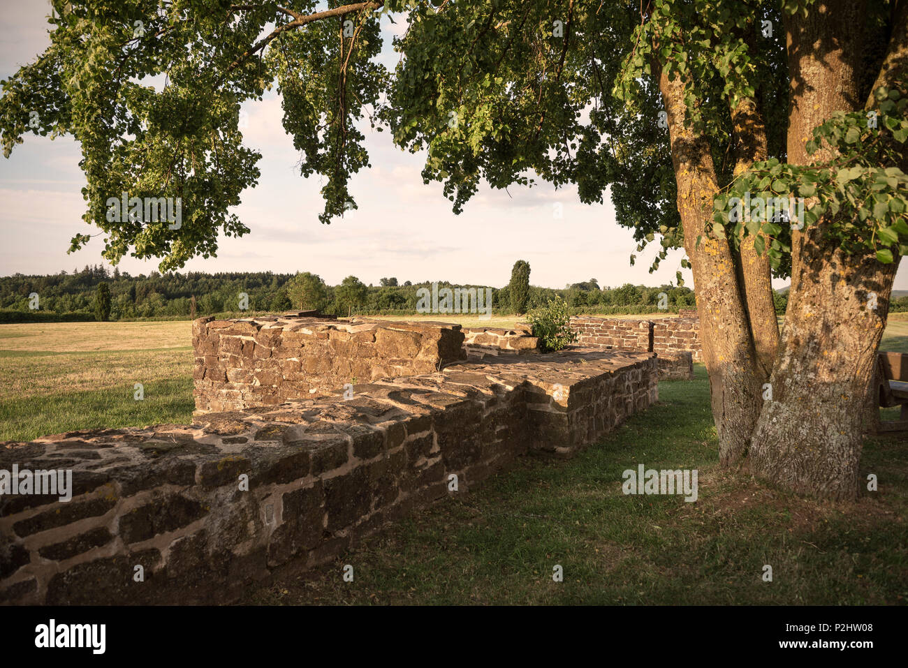 ruins of Roman buildings, Limes border wall of Roman Empire Park Rainau-Buch, Aalen, Ostalb province, Swabian Alb, Baden-Wuertte Stock Photo