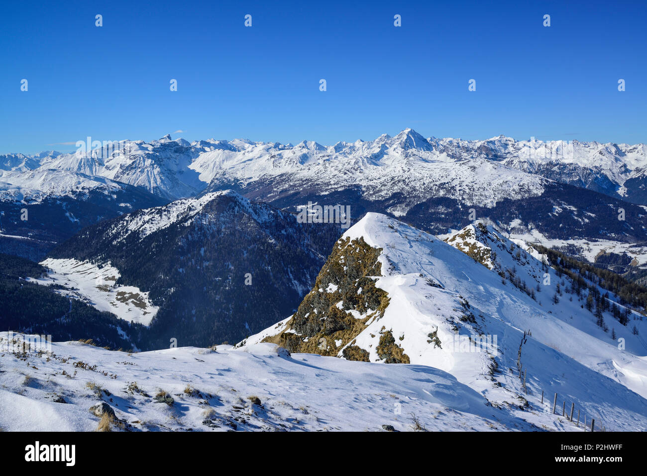 Stubai Alps with Tribulaun and Habicht, from Gammerspitze, valley of Schmirn, Zillertal Alps, Tyrol, Austria Stock Photo