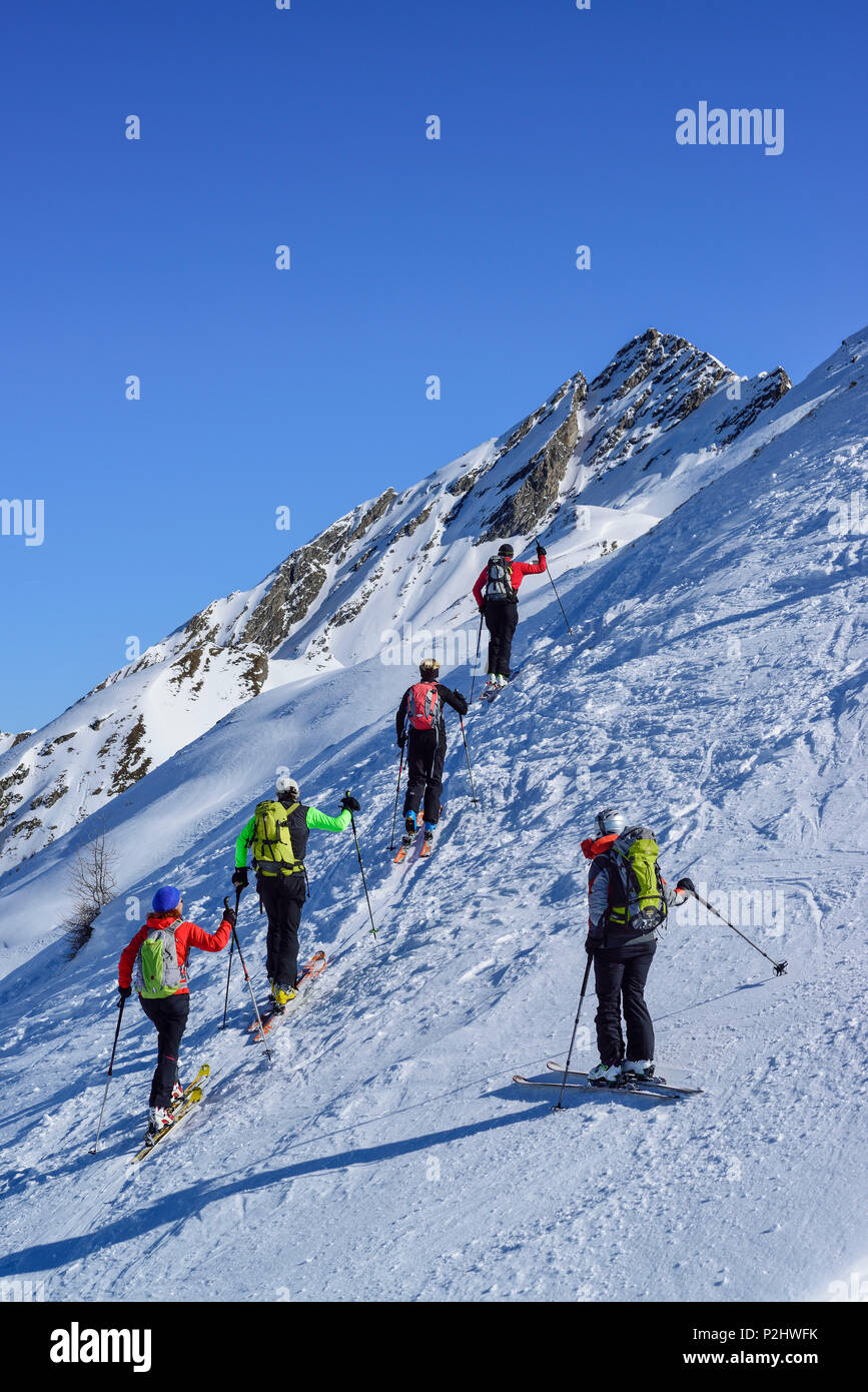Several persons back-country skiing ascending towards Gammerspitze, Gammerspitze, valley of Schmirn, Zillertal Alps, Tyrol, Aust Stock Photo