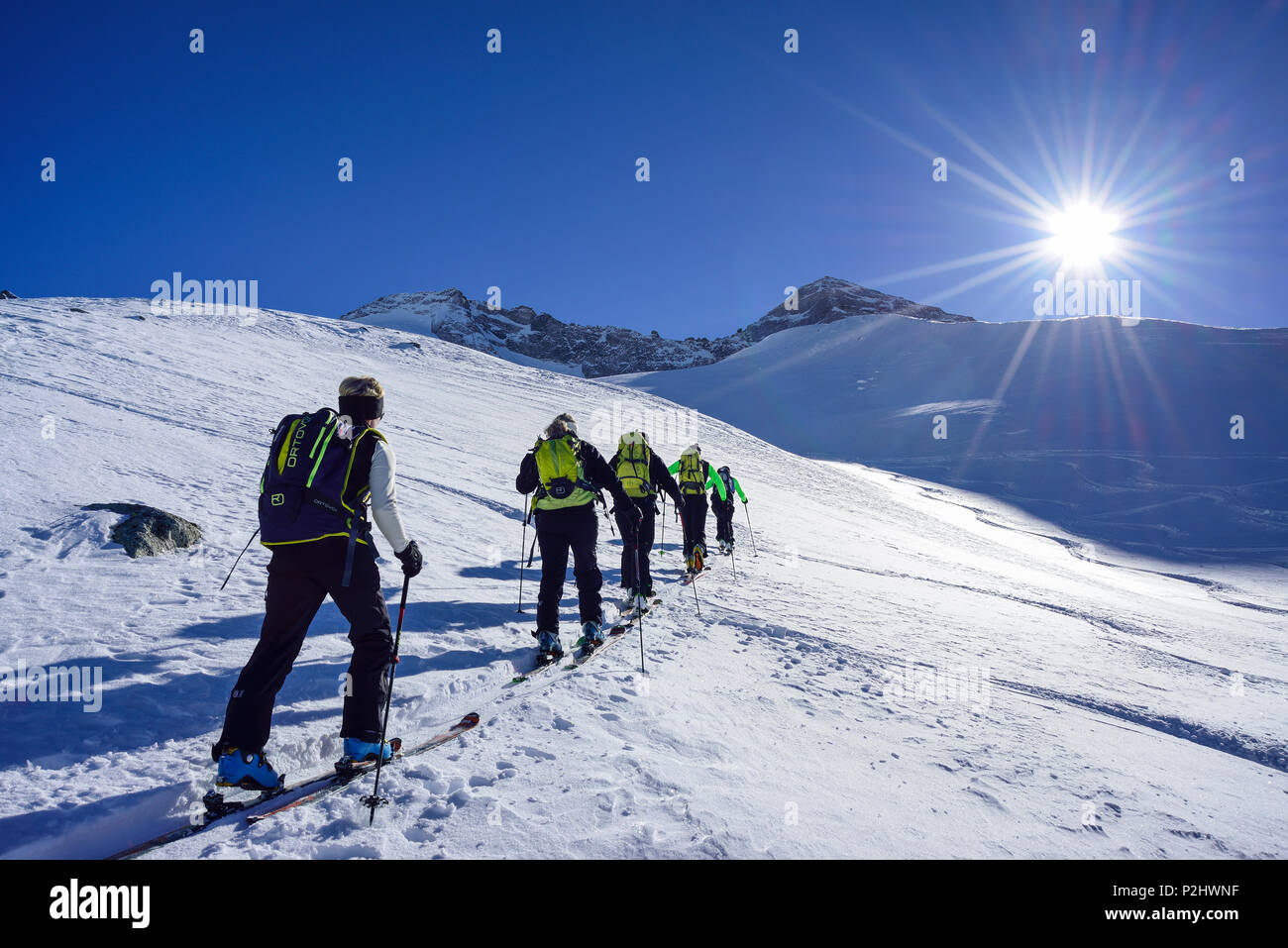 Several persons back-country skiing ascending towards Kleiner Kaserer, Olperer in the background, Kleiner Kaserer, valley of Sch Stock Photo