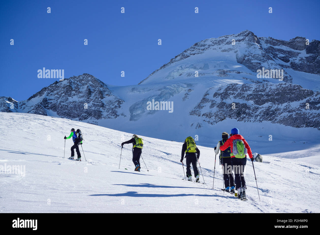 Several persons back-country skiing ascending towards Kleiner Kaserer, Olperer in the background, Kleiner Kaserer, valley of Sch Stock Photo