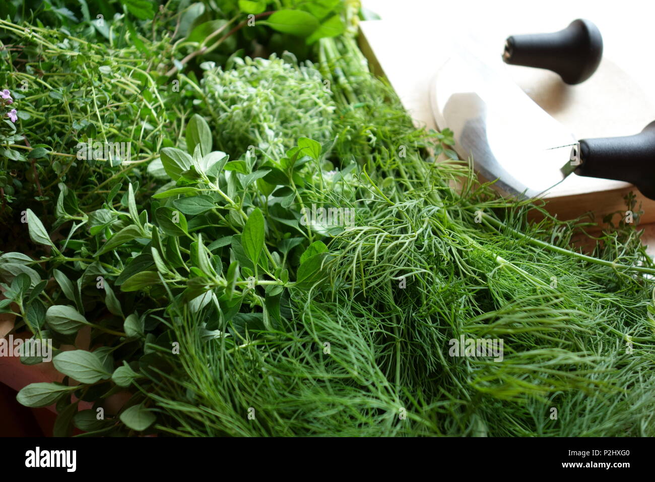 Fresh herbs and chopping utensils Stock Photo Alamy
