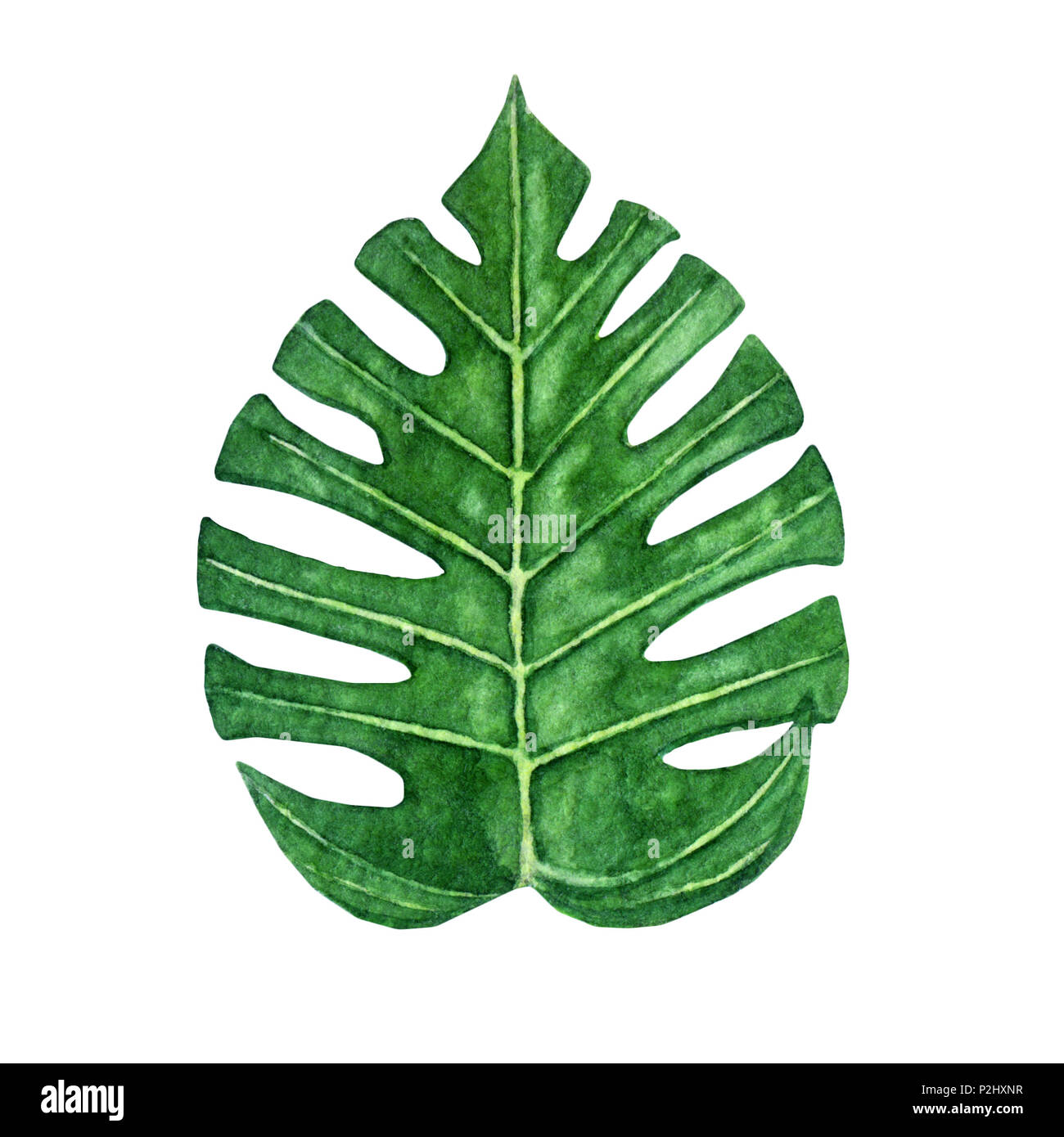 Monstera Blatt Malvorlage