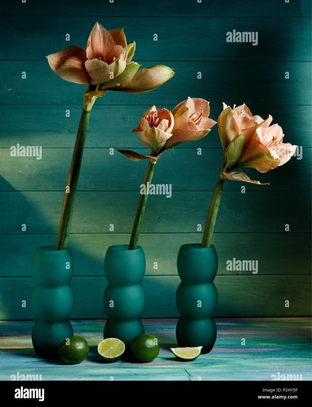StillLife of pink amaryllis in green glass vases Stock Photo Alamy