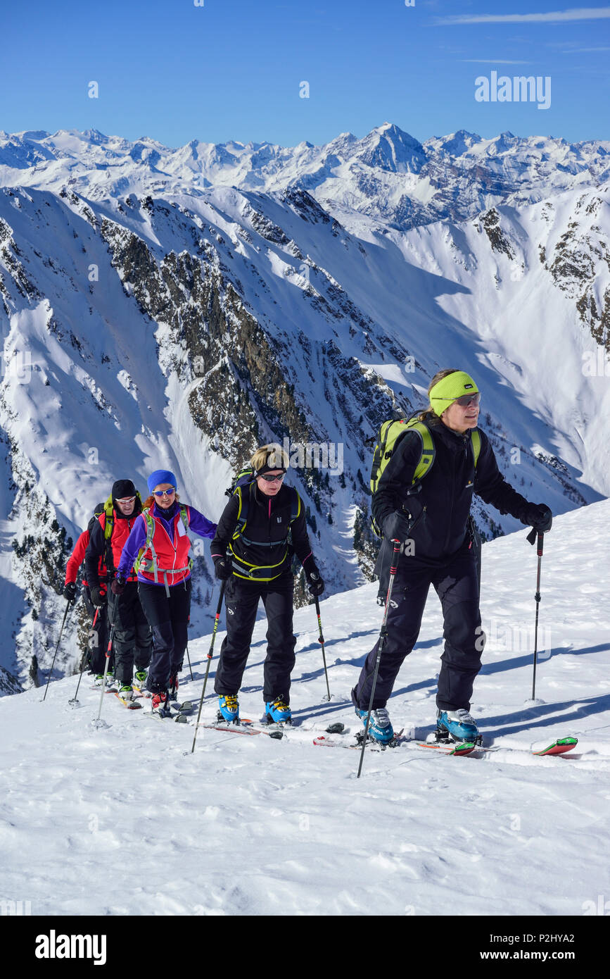 Several persons back-country skiing ascending towards Frauenwand, Zillertal Alps and Stubai Alps in background, Frauenwand, vall Stock Photo