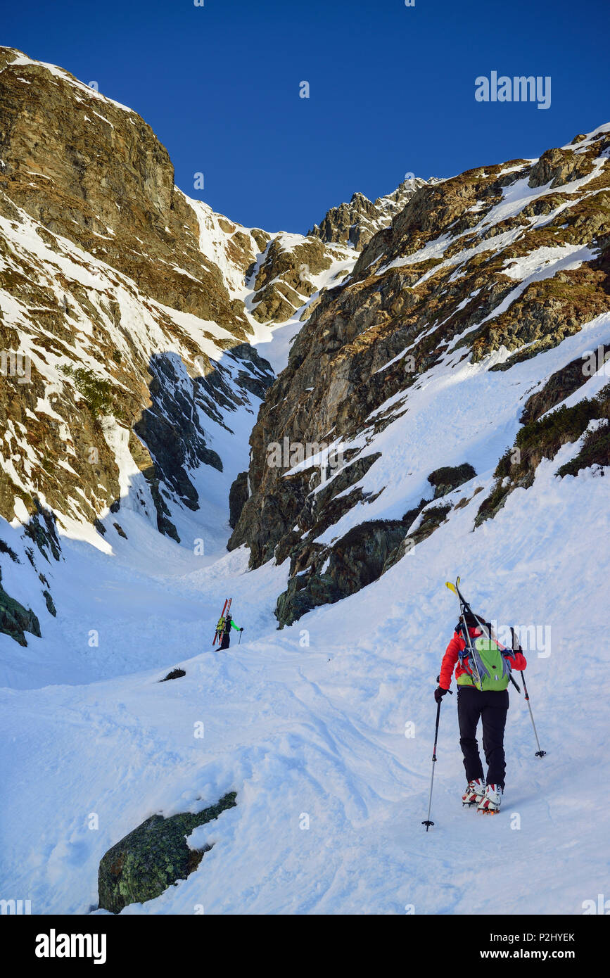 Two persons back-country skiing ascending through steep gully towards Schneespitze, Schneespitze, valley of Pflersch, Stubai Alp Stock Photo