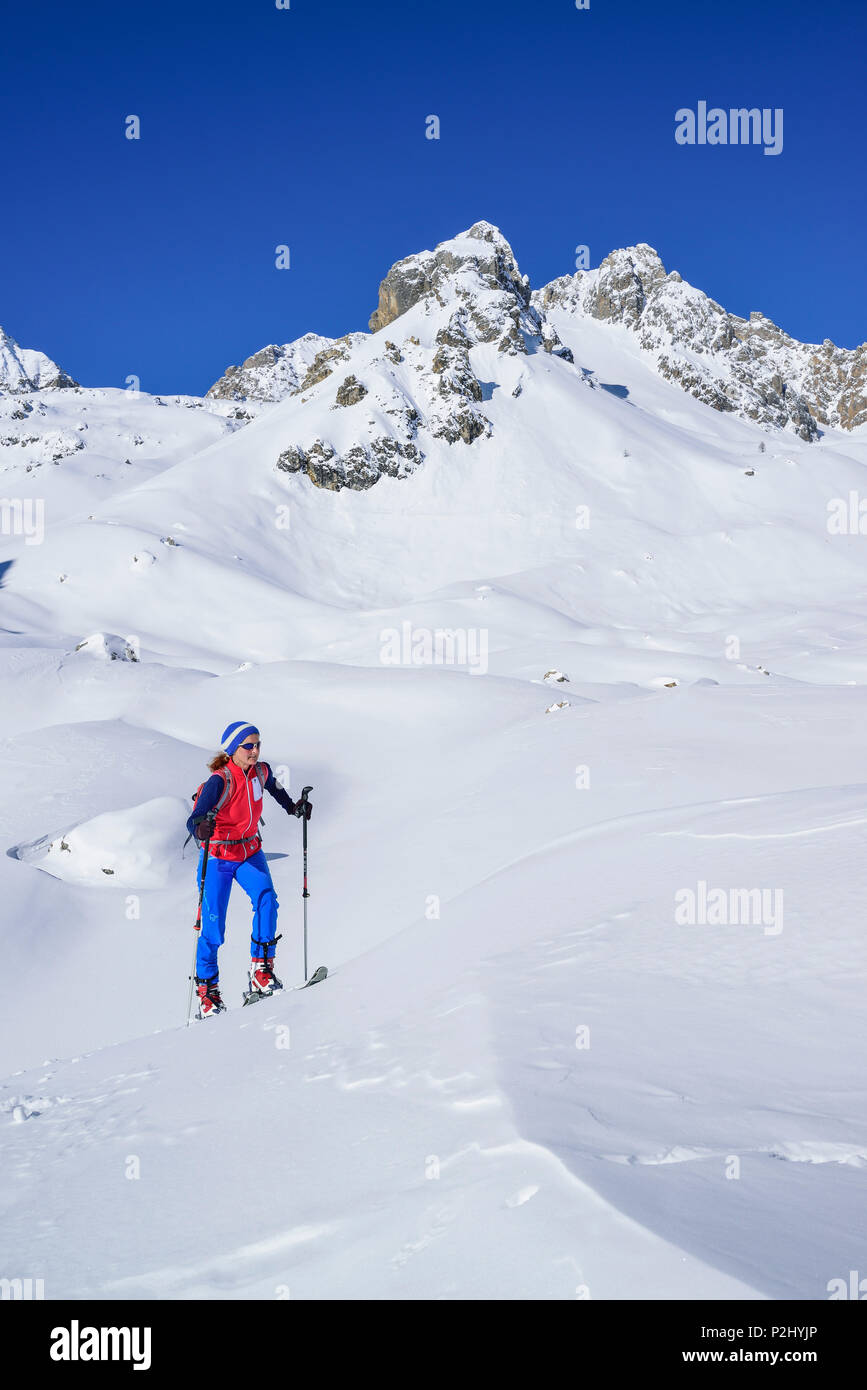 Woman back-country skiing ascending to Col Sautron, Monte Sautron in background, Col Sautron, Valle Maira, Cottian Alps, Piedmon Stock Photo