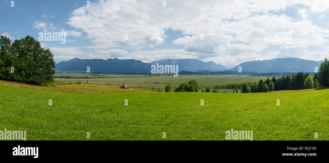 Murnauer Moos, and Bavarian Alps, moorland, Nature Reserve near Murnau, Blue Land, district Garmisch-Partenkirchen, Bavarian alp Stock Photo