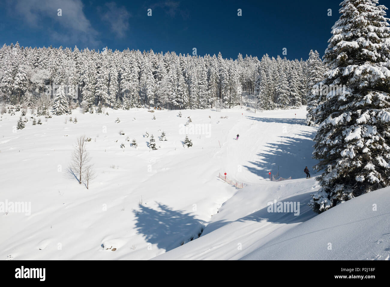 winter landscape, Todtnauberg, Black Forest, Baden-Wuerttemberg, Germany Stock Photo