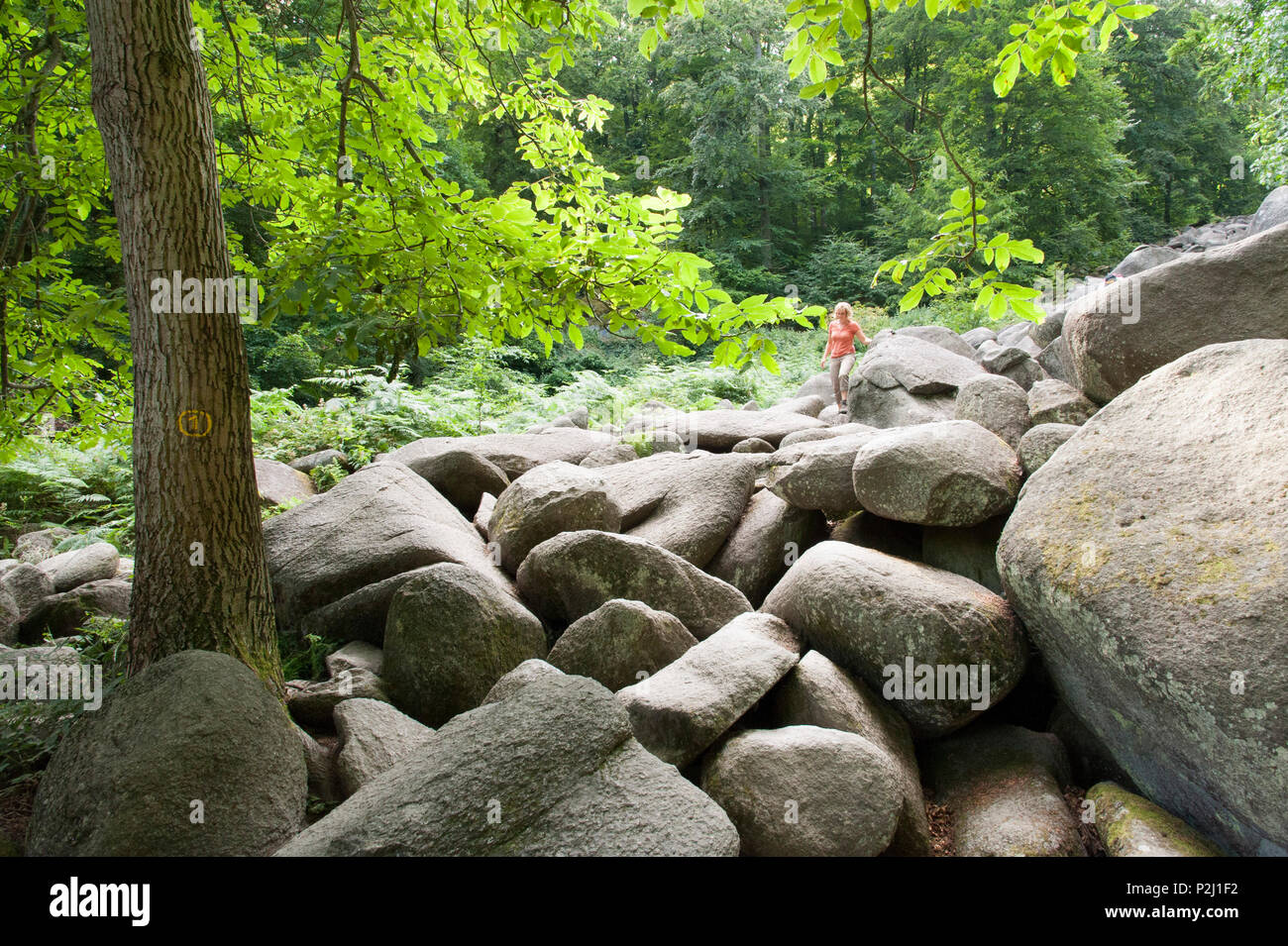 Rocks, Felsenmeer Lautertal, Lautertal, Odenwald, Hesse, Germany Stock Photo