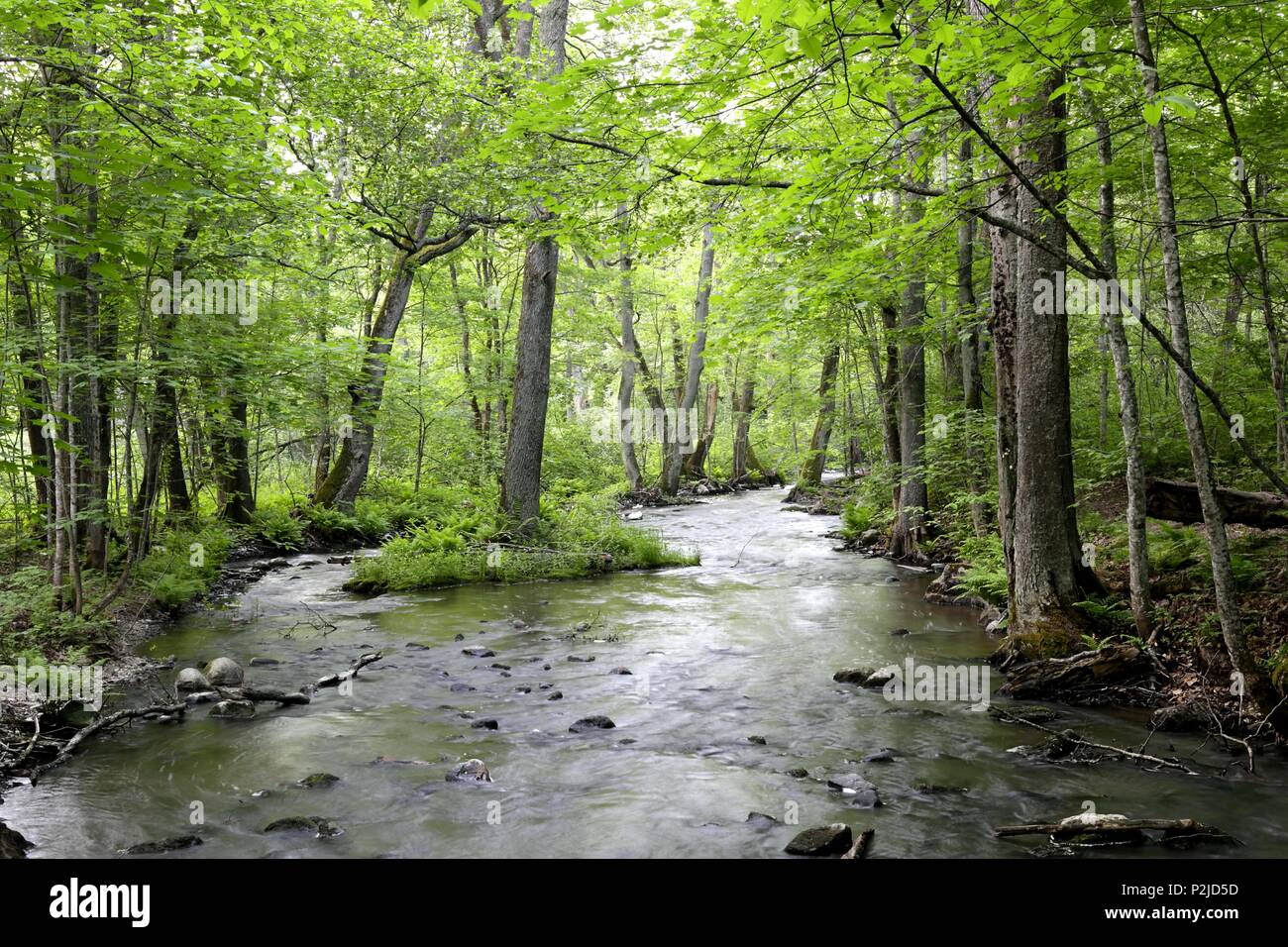 River rapids over stream rocks hi-res stock photography and images - Alamy