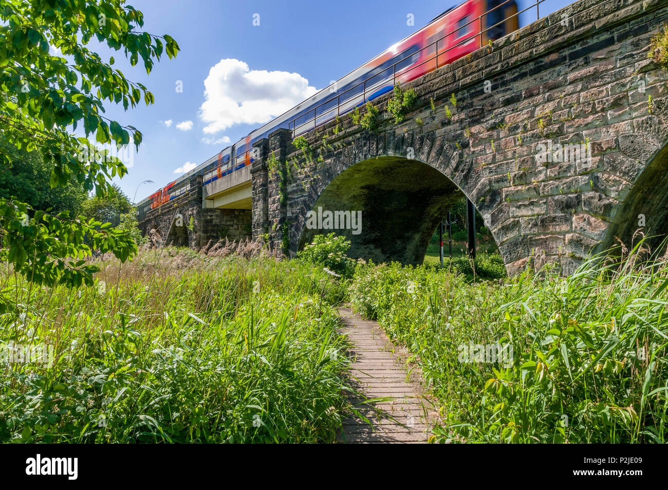 Viaduct over the Sankey canal with train passing over it. Sankey Valley Linear Park. Stock Photo